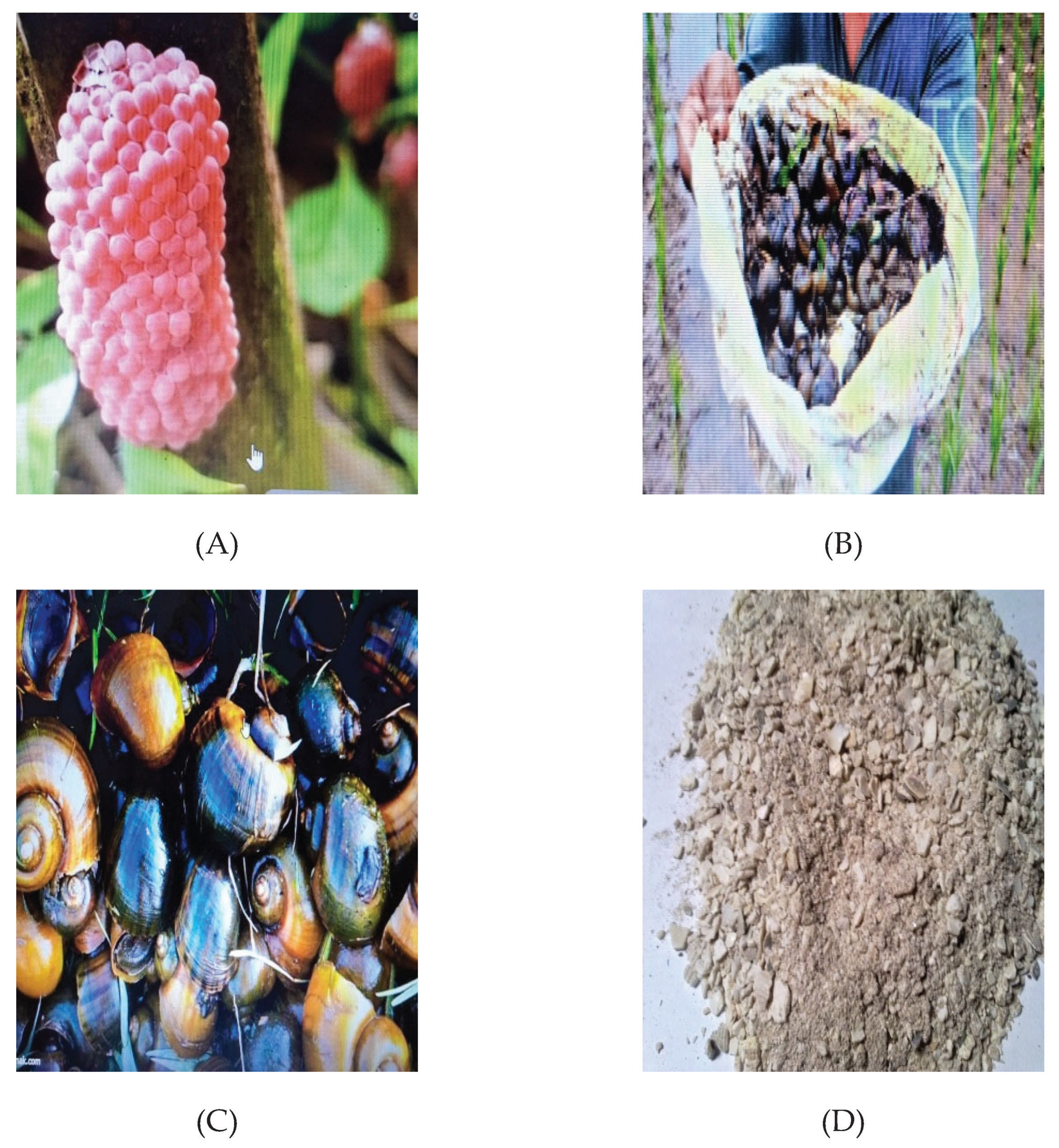 Preprints 177688 g001