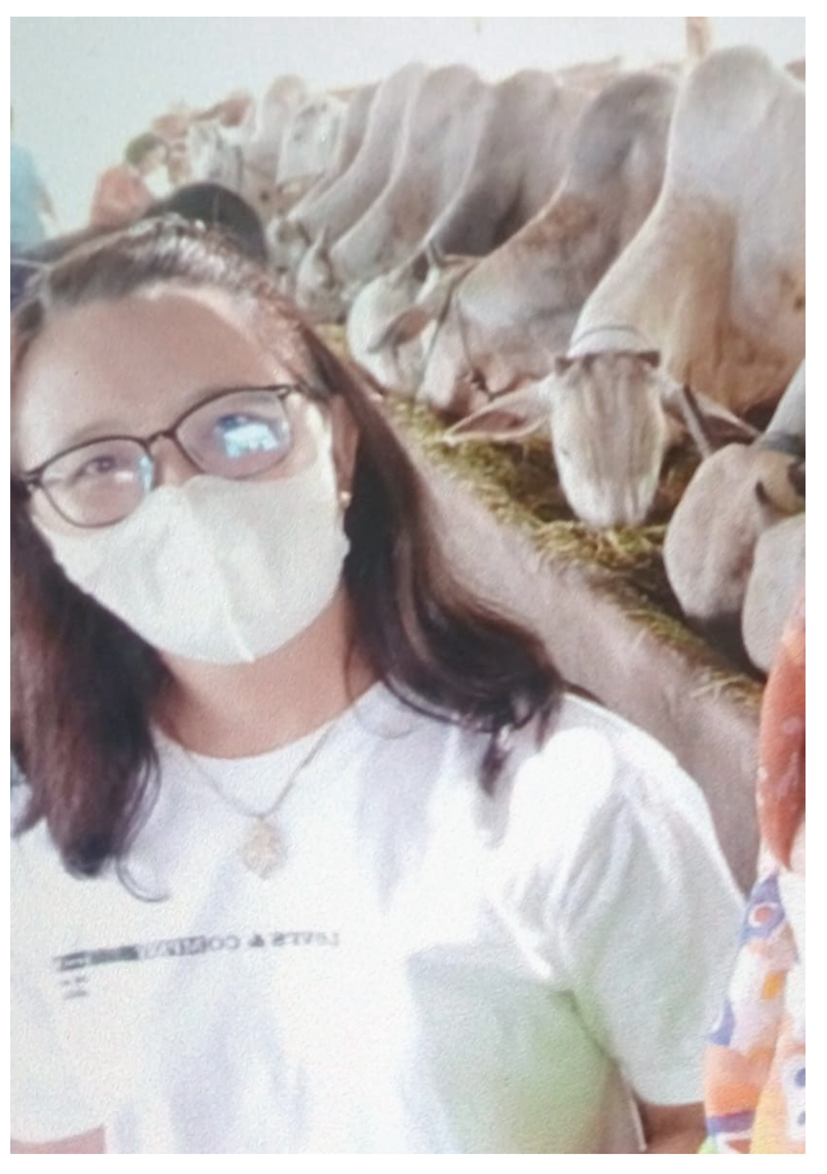 Preprints 177688 g002