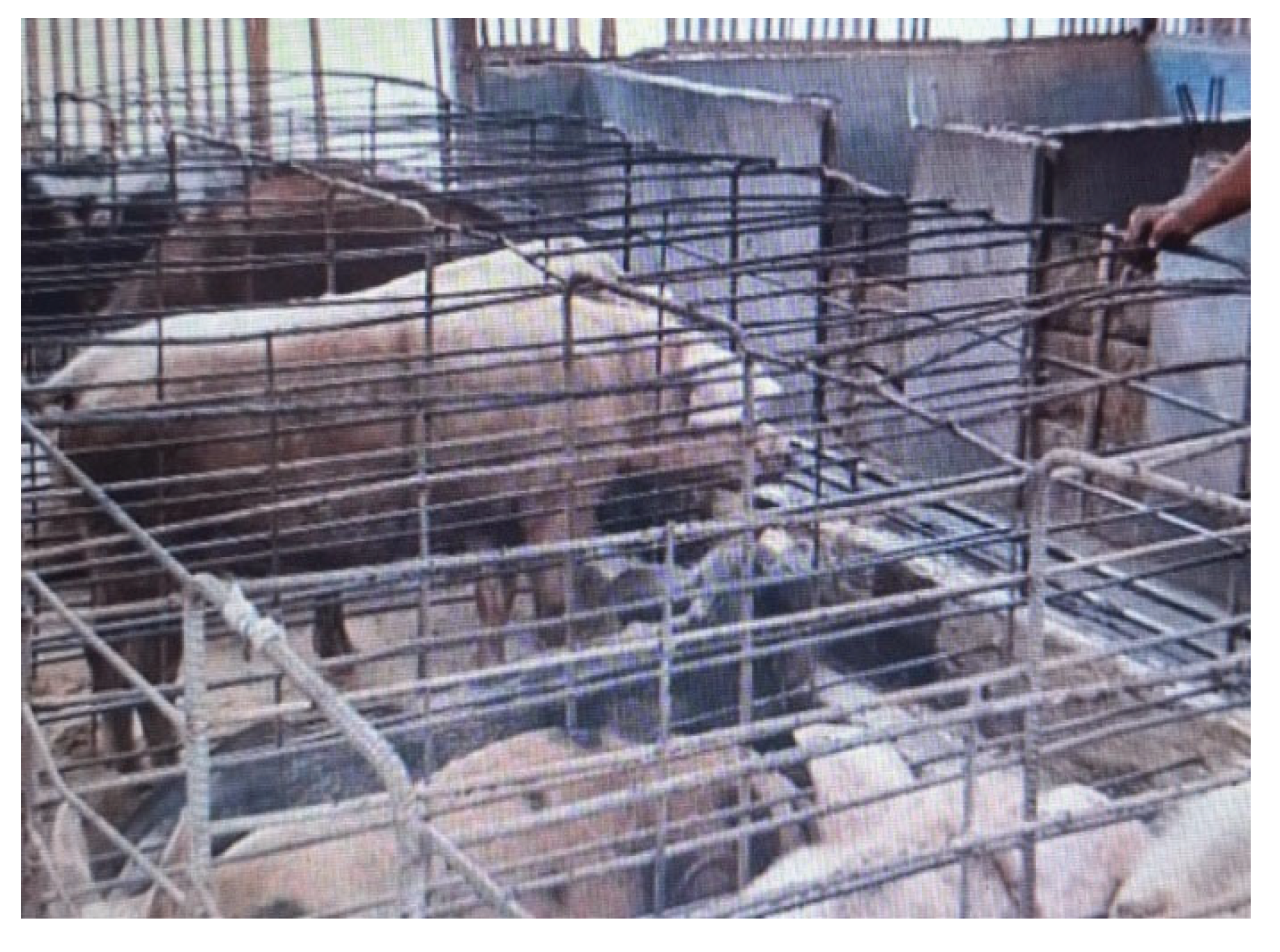 Preprints 177688 g003