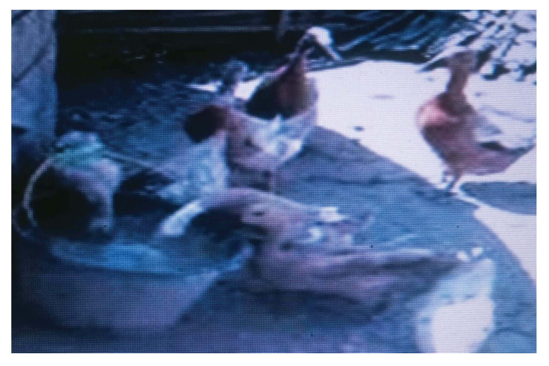 Preprints 177688 g005