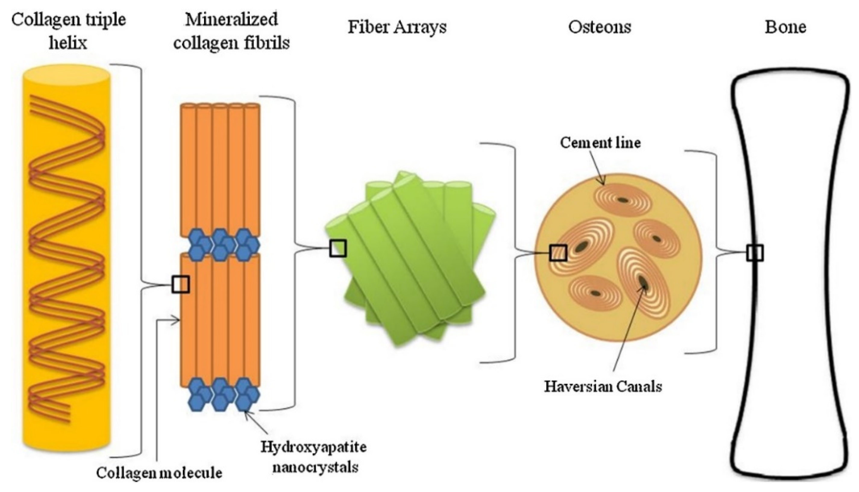 Preprints 87993 g001