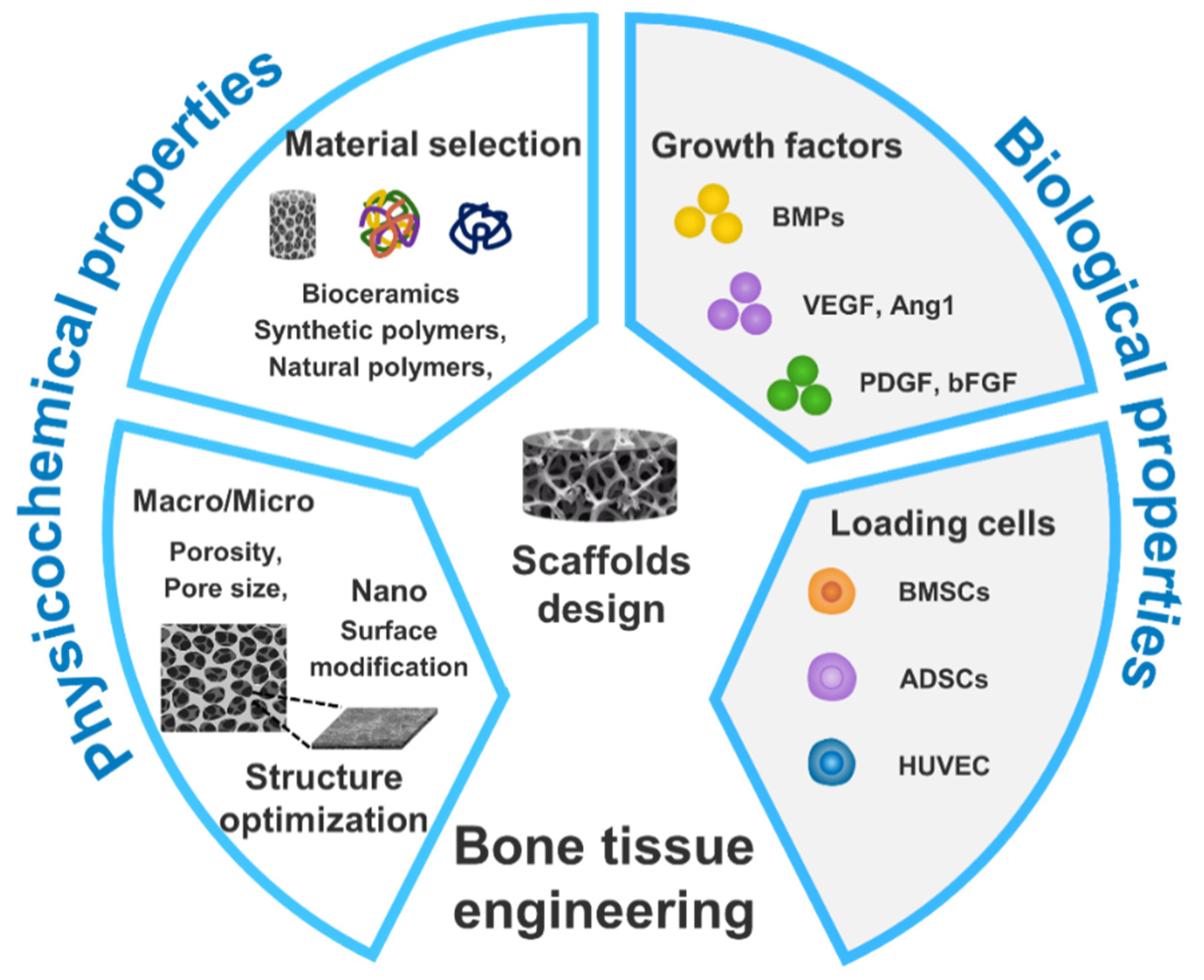 Preprints 87993 g003