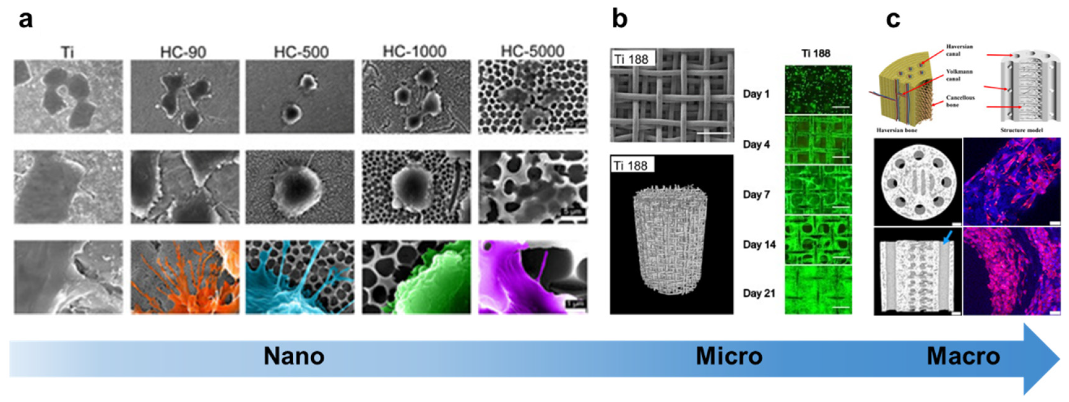 Preprints 87993 g004