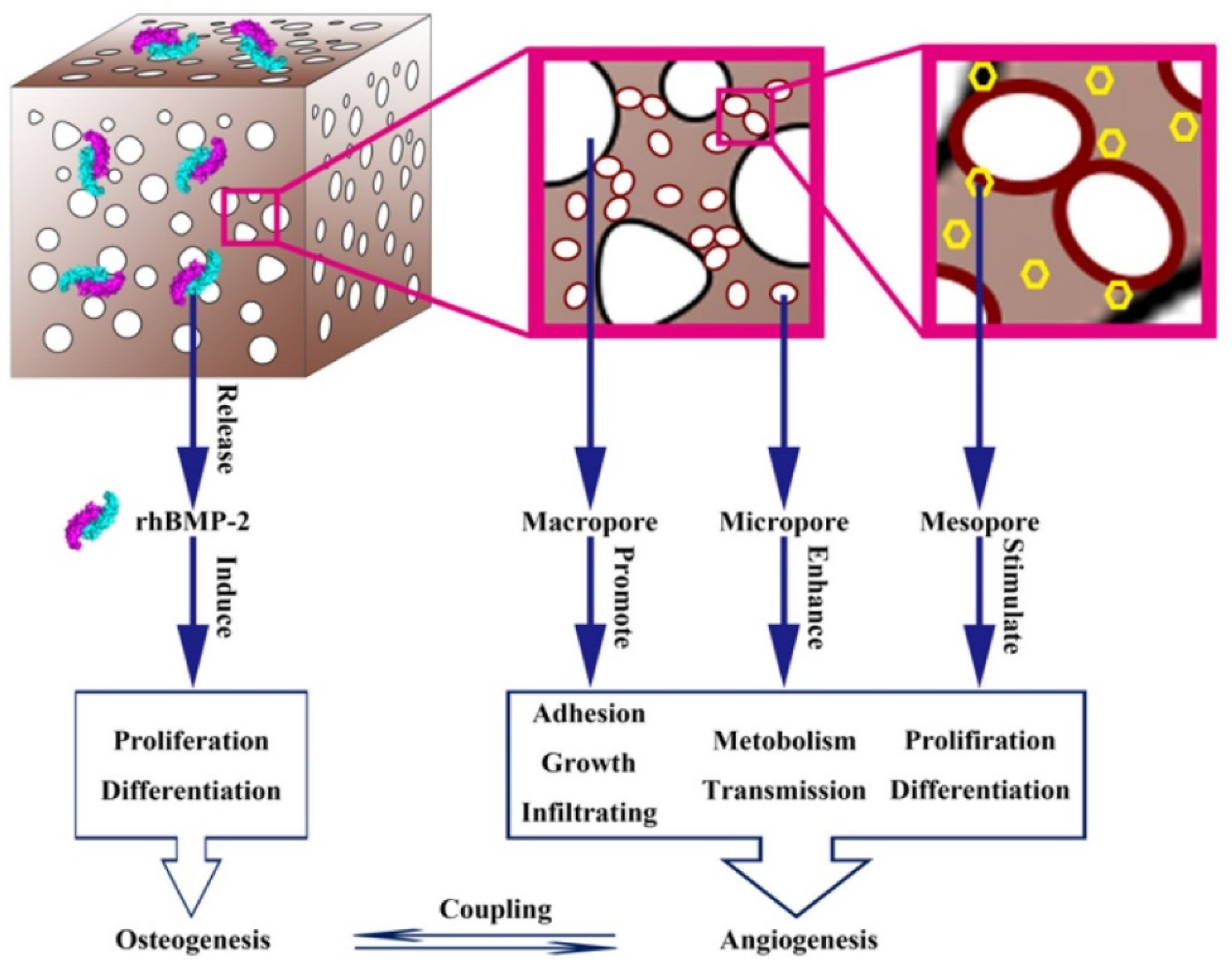 Preprints 87993 g005