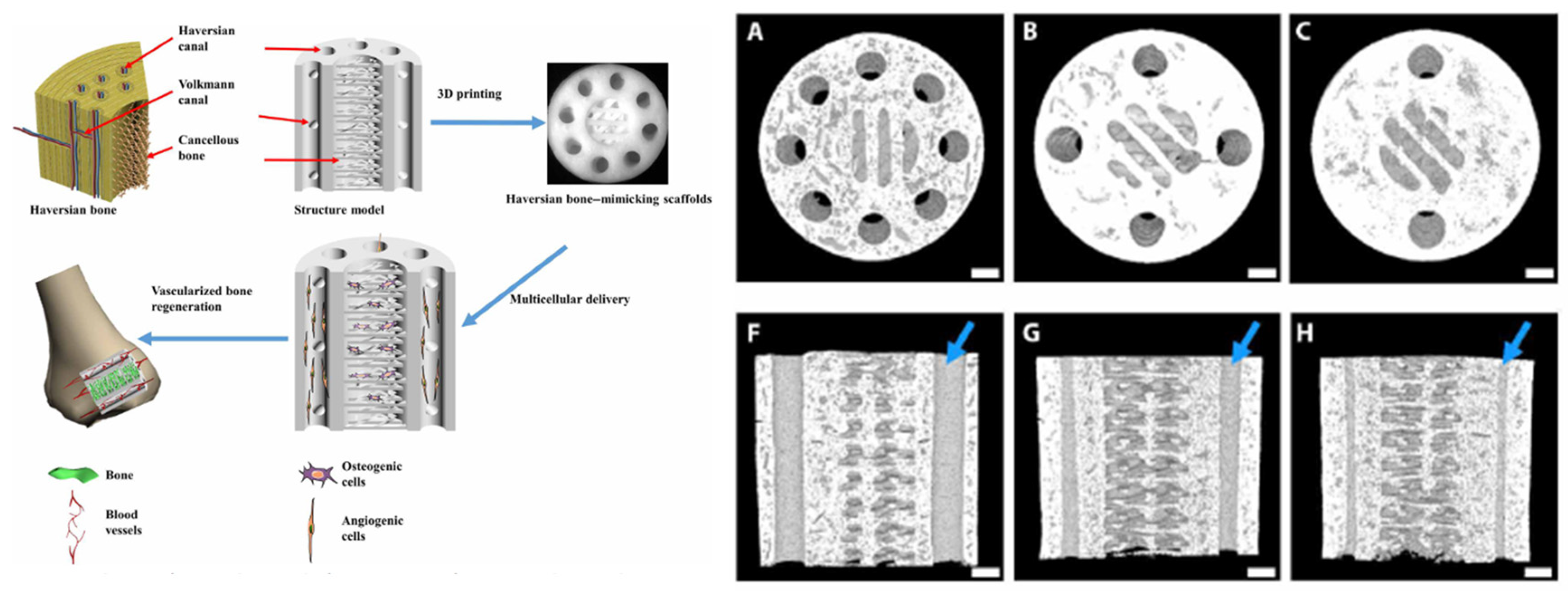 Preprints 87993 g007