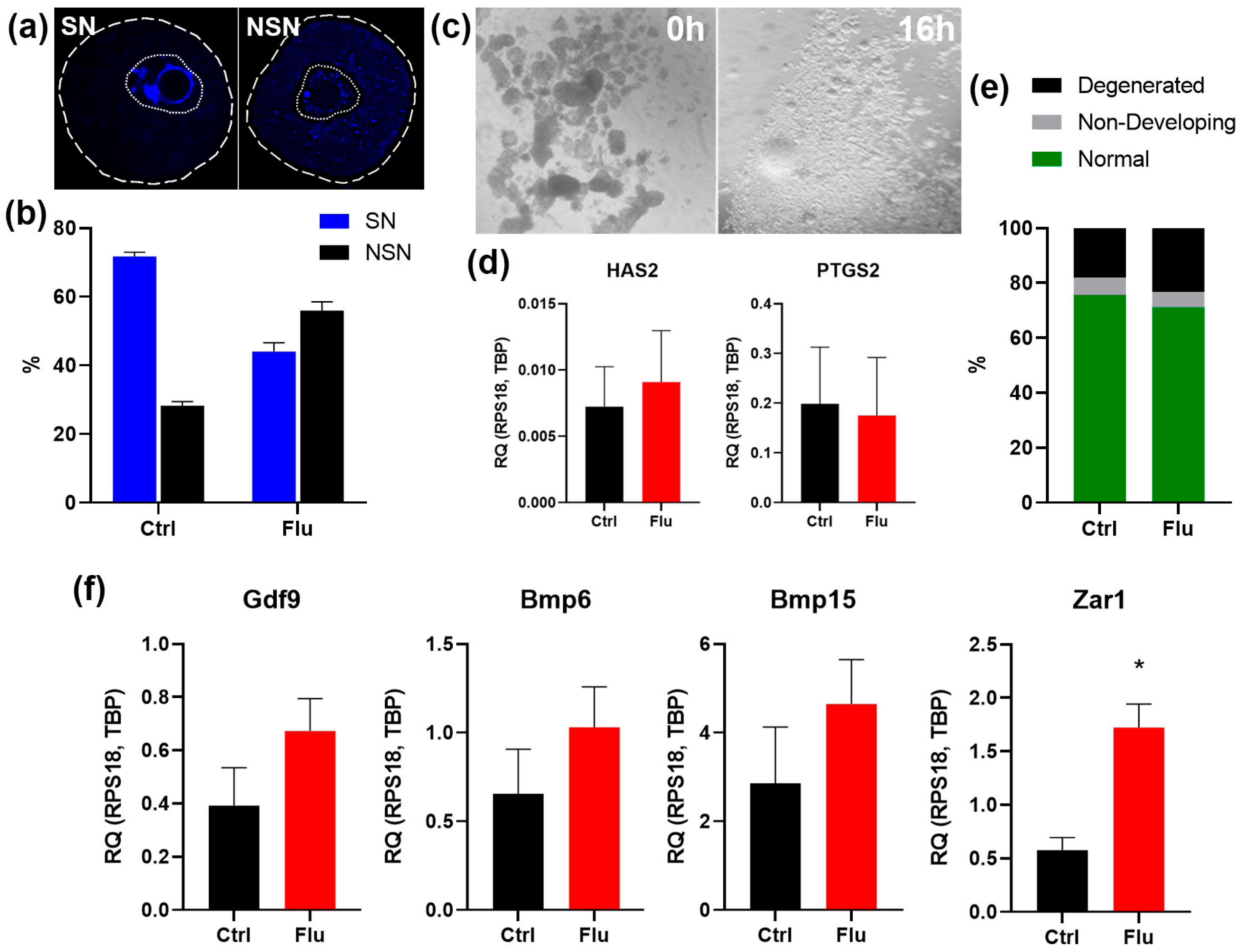 Preprints 156565 g002