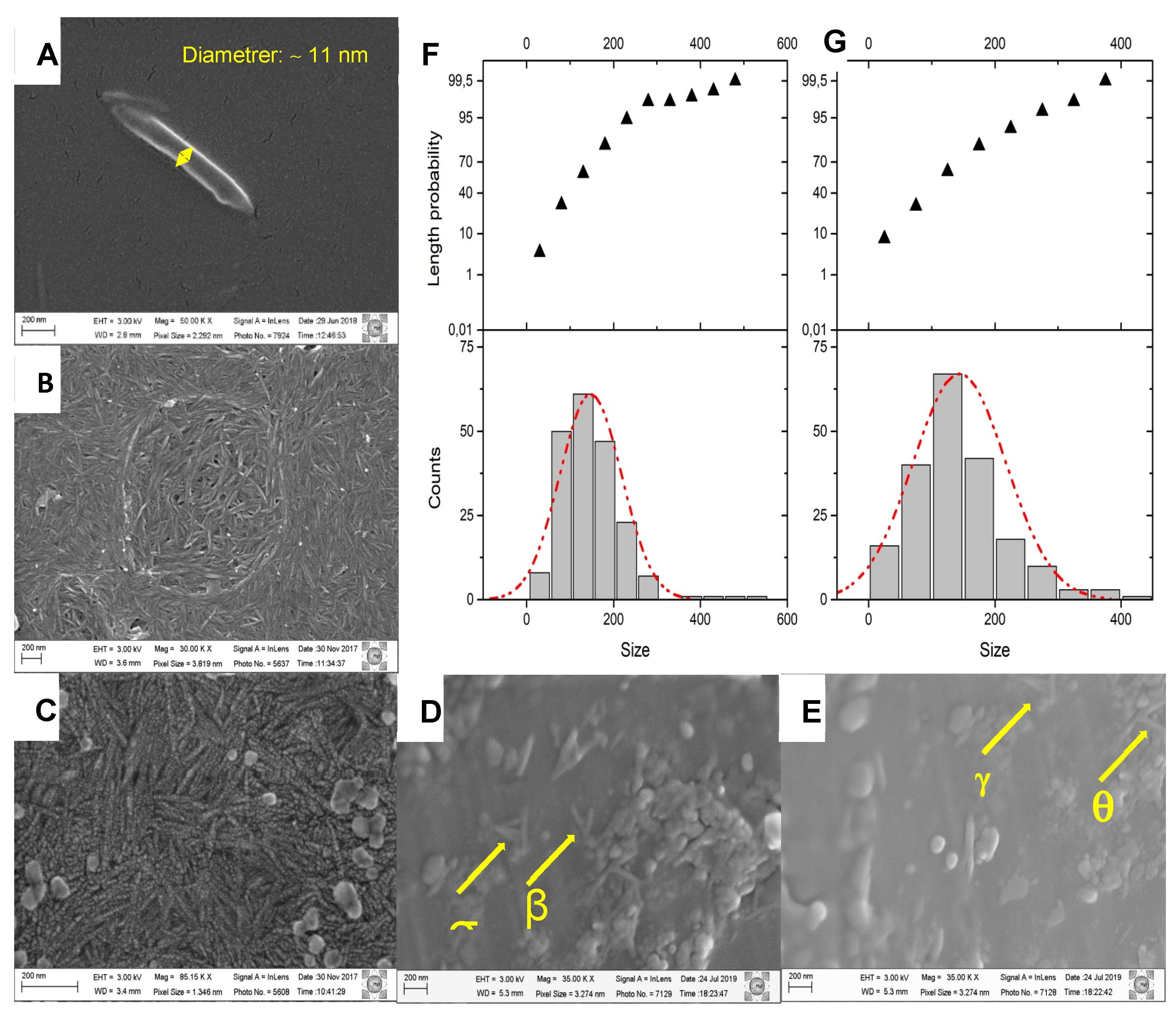 Preprints 90826 g002