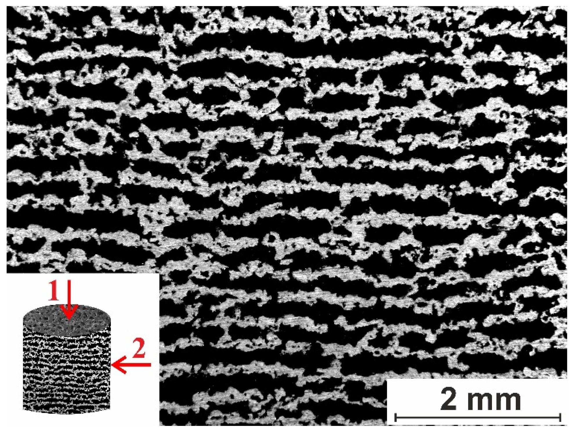 Preprints 94253 g001