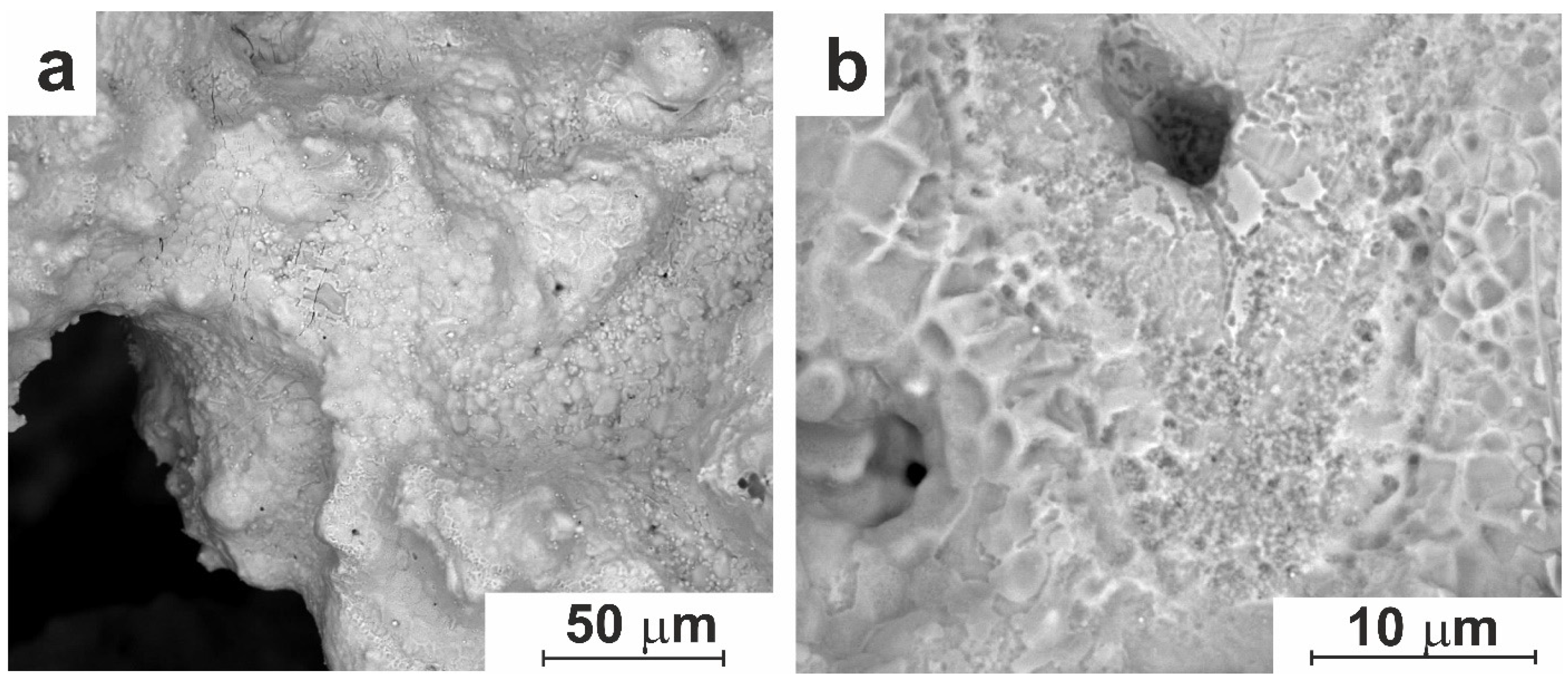 Preprints 94253 g005