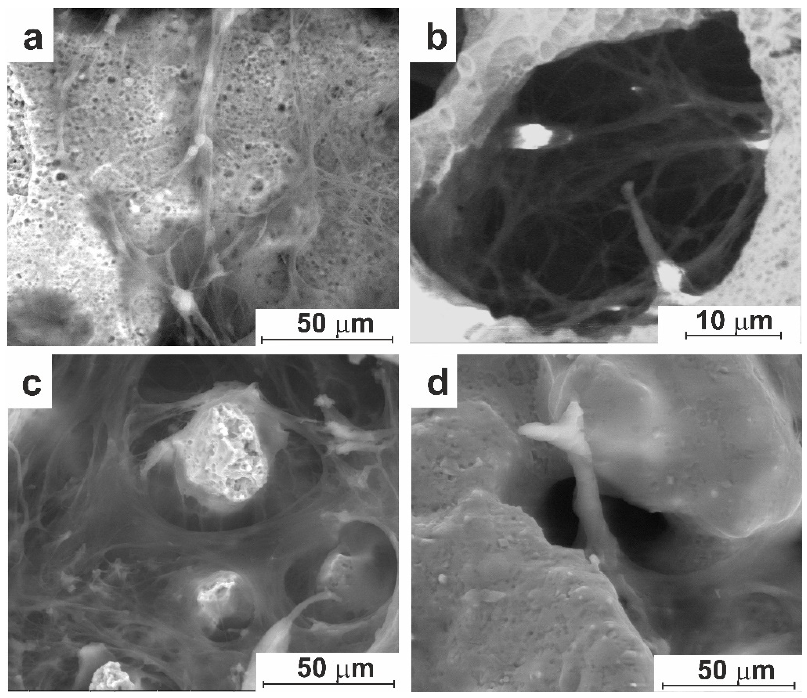 Preprints 94253 g009