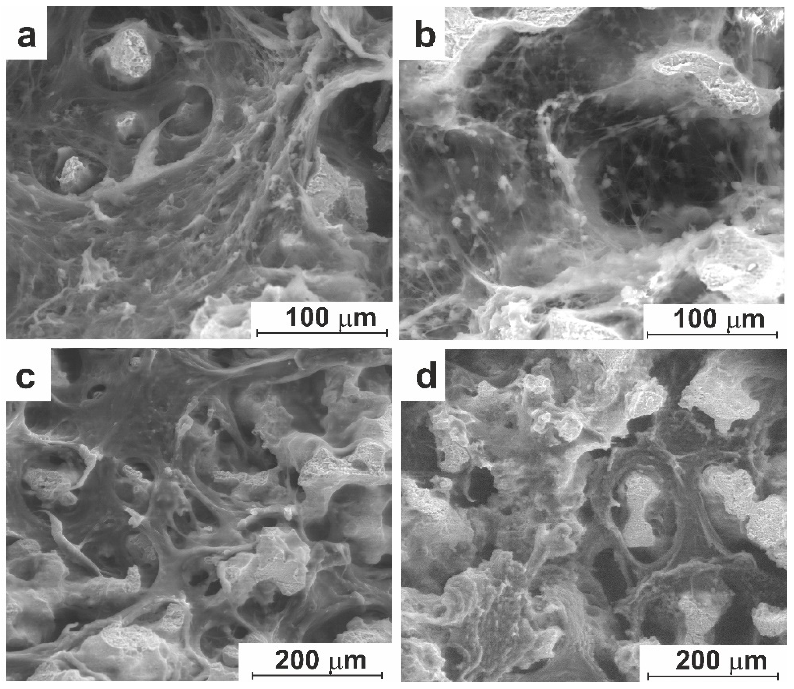 Preprints 94253 g010
