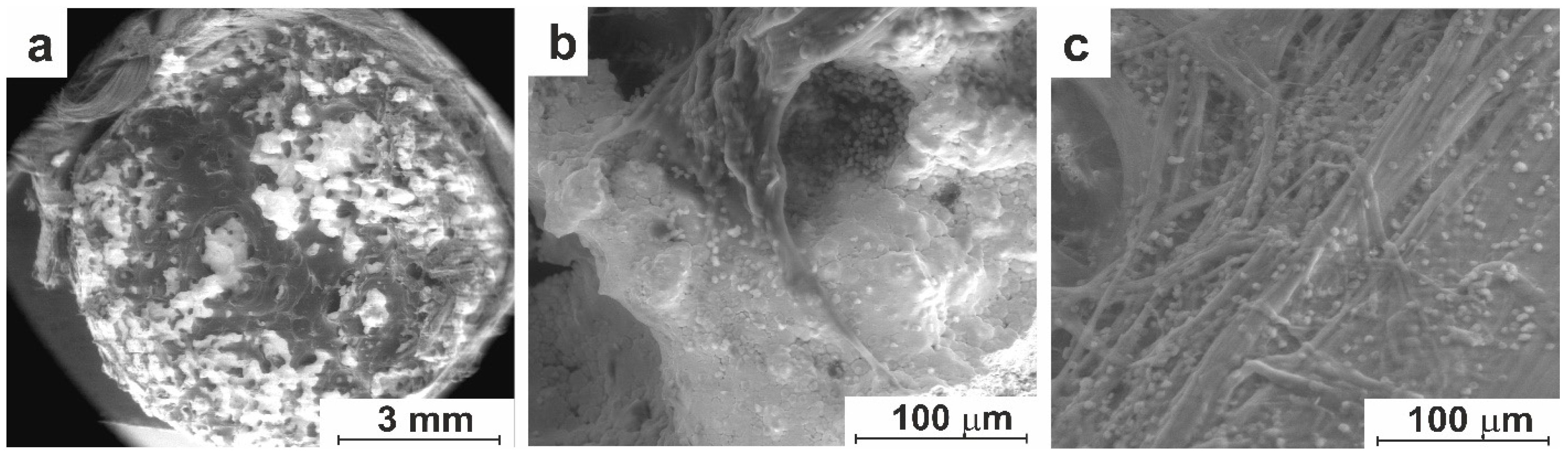 Preprints 94253 g011