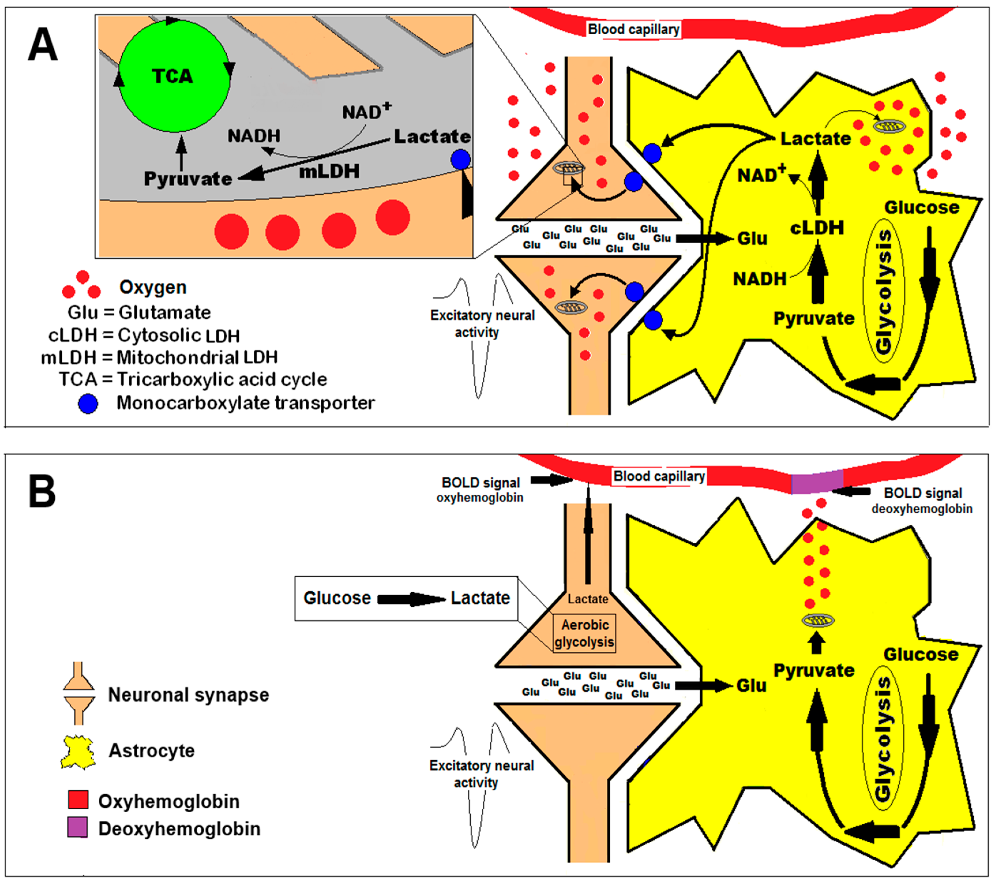 Preprints 151739 g001