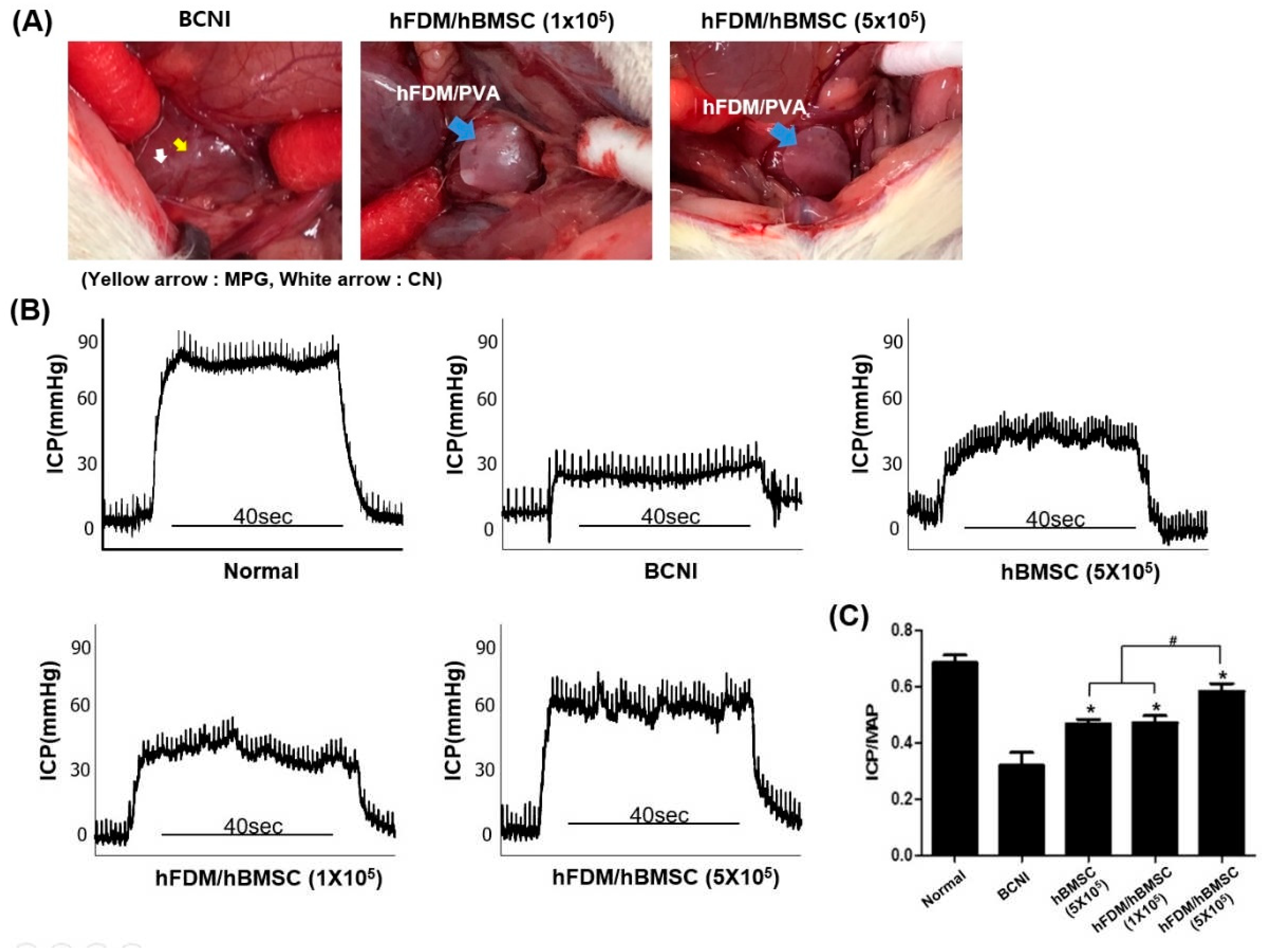 Preprints 72766 g004