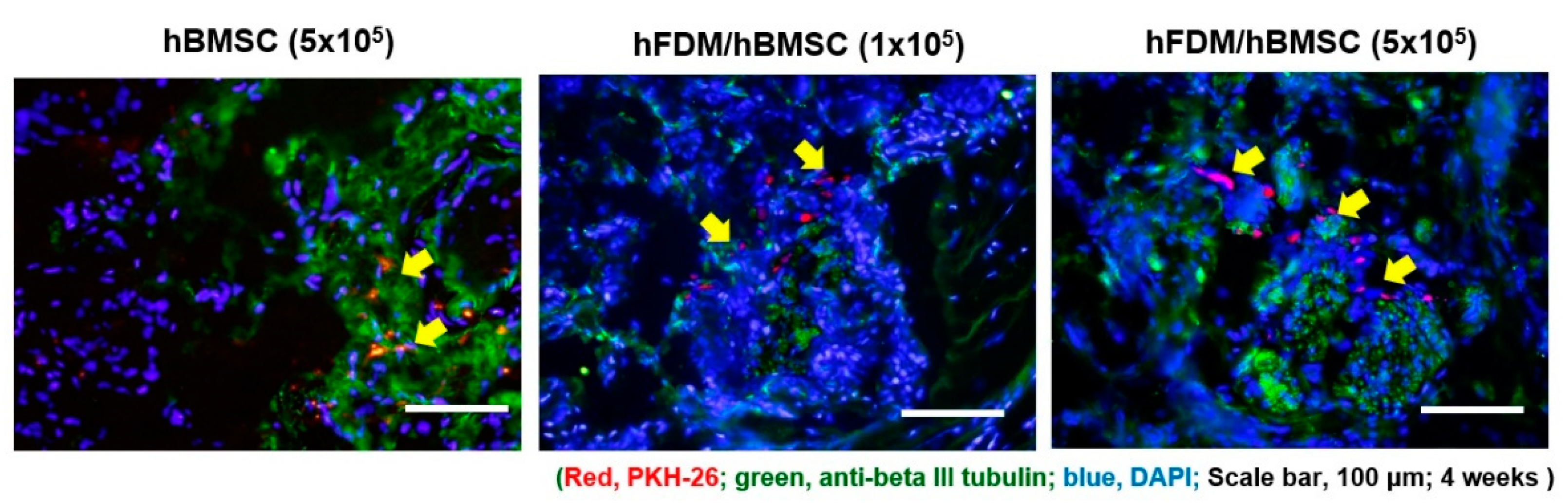 Preprints 72766 g005