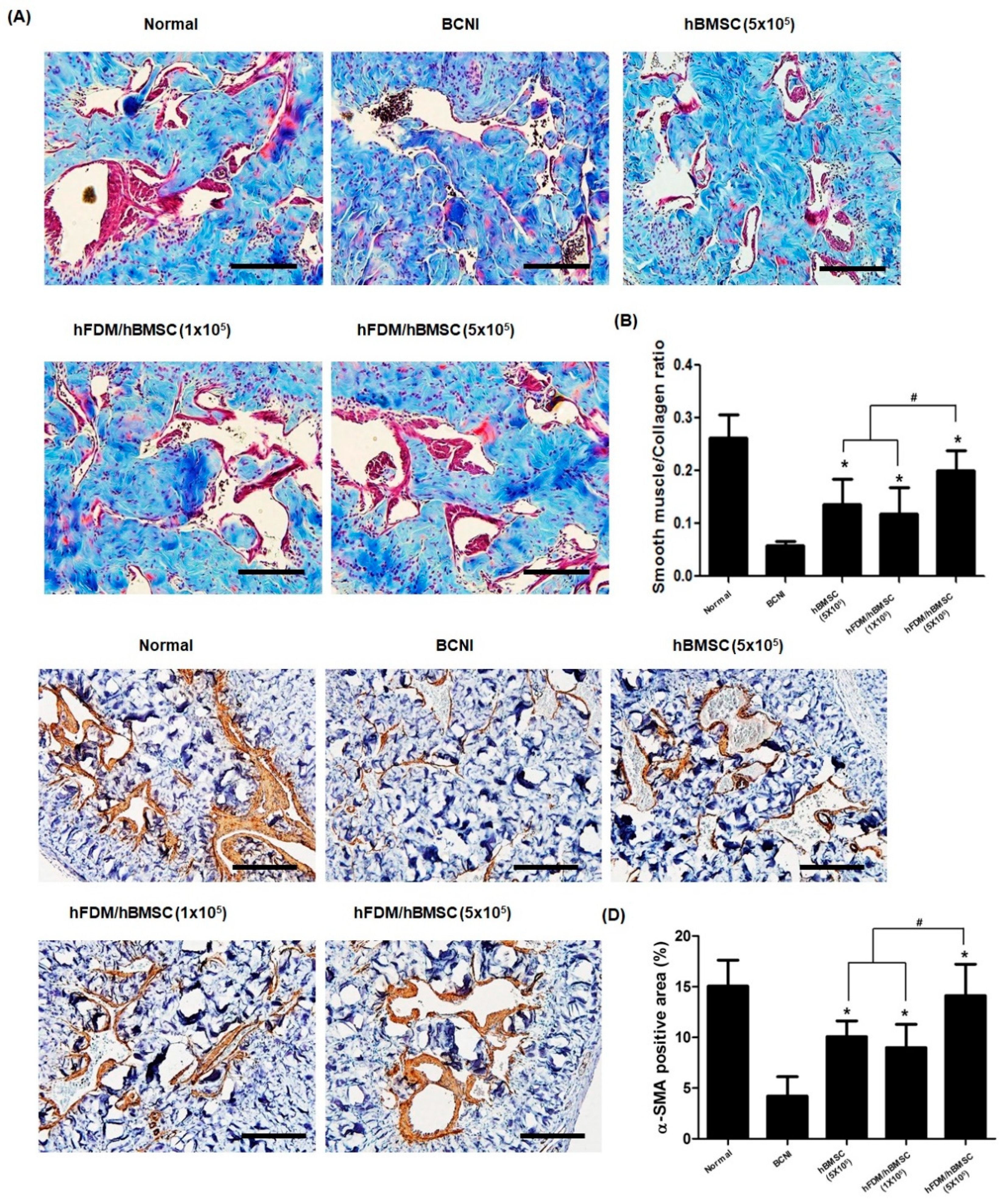 Preprints 72766 g006