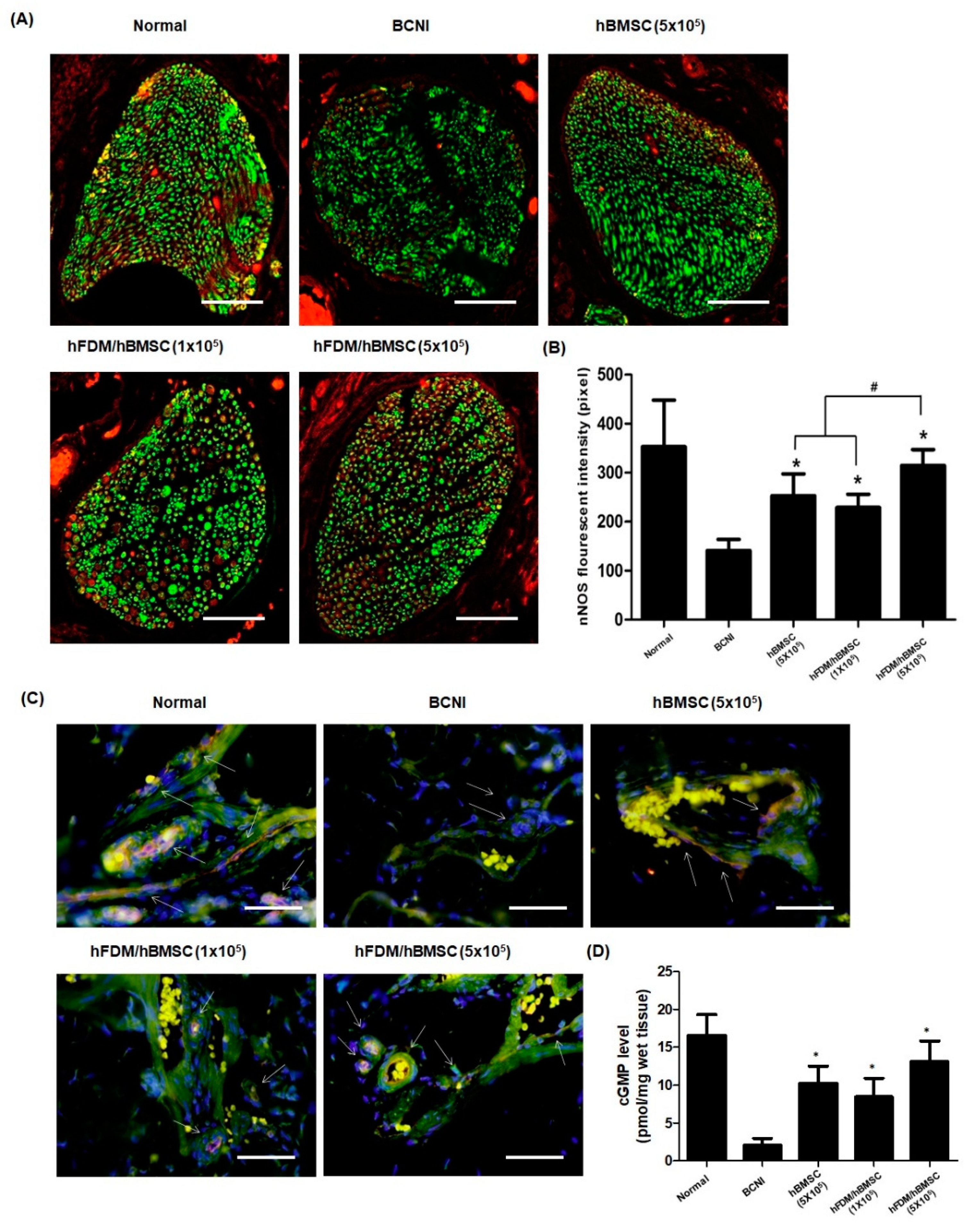 Preprints 72766 g007