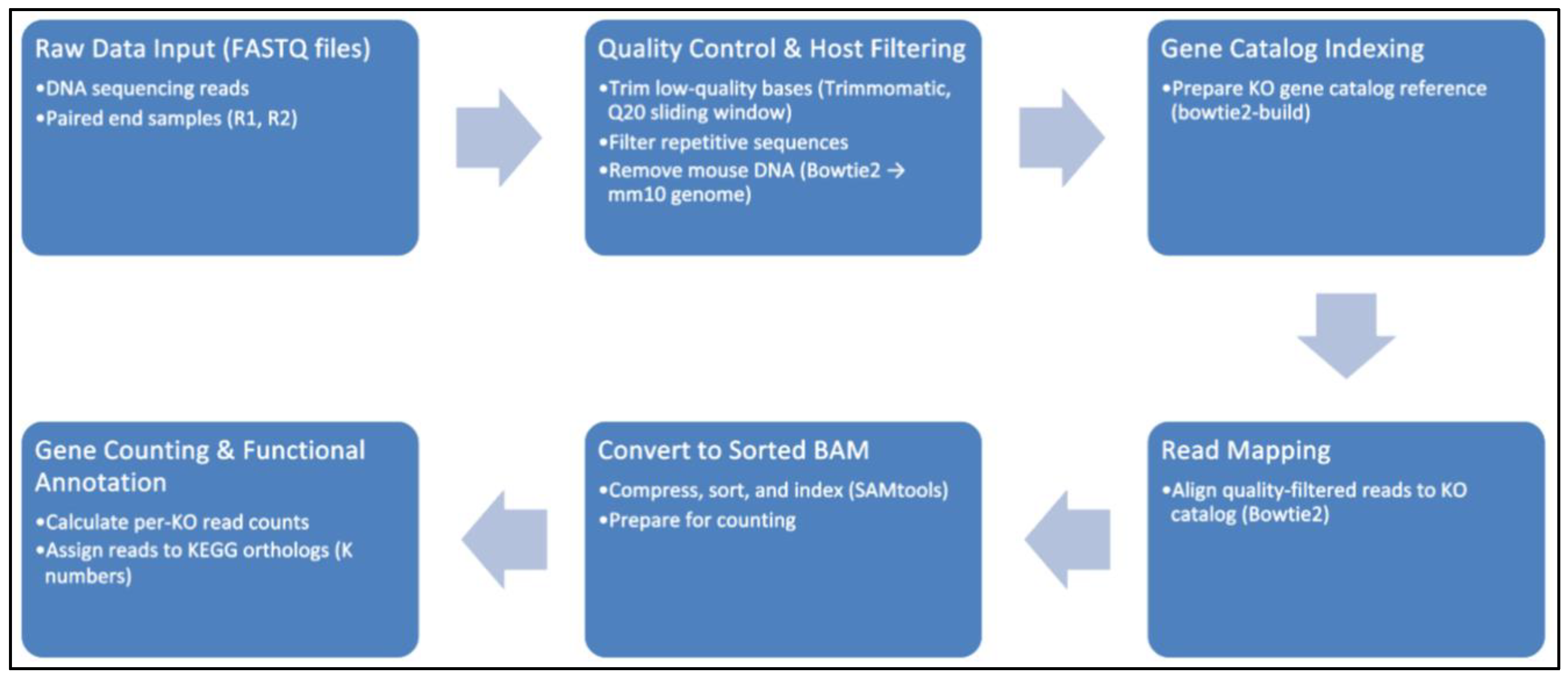 Preprints 163422 g001