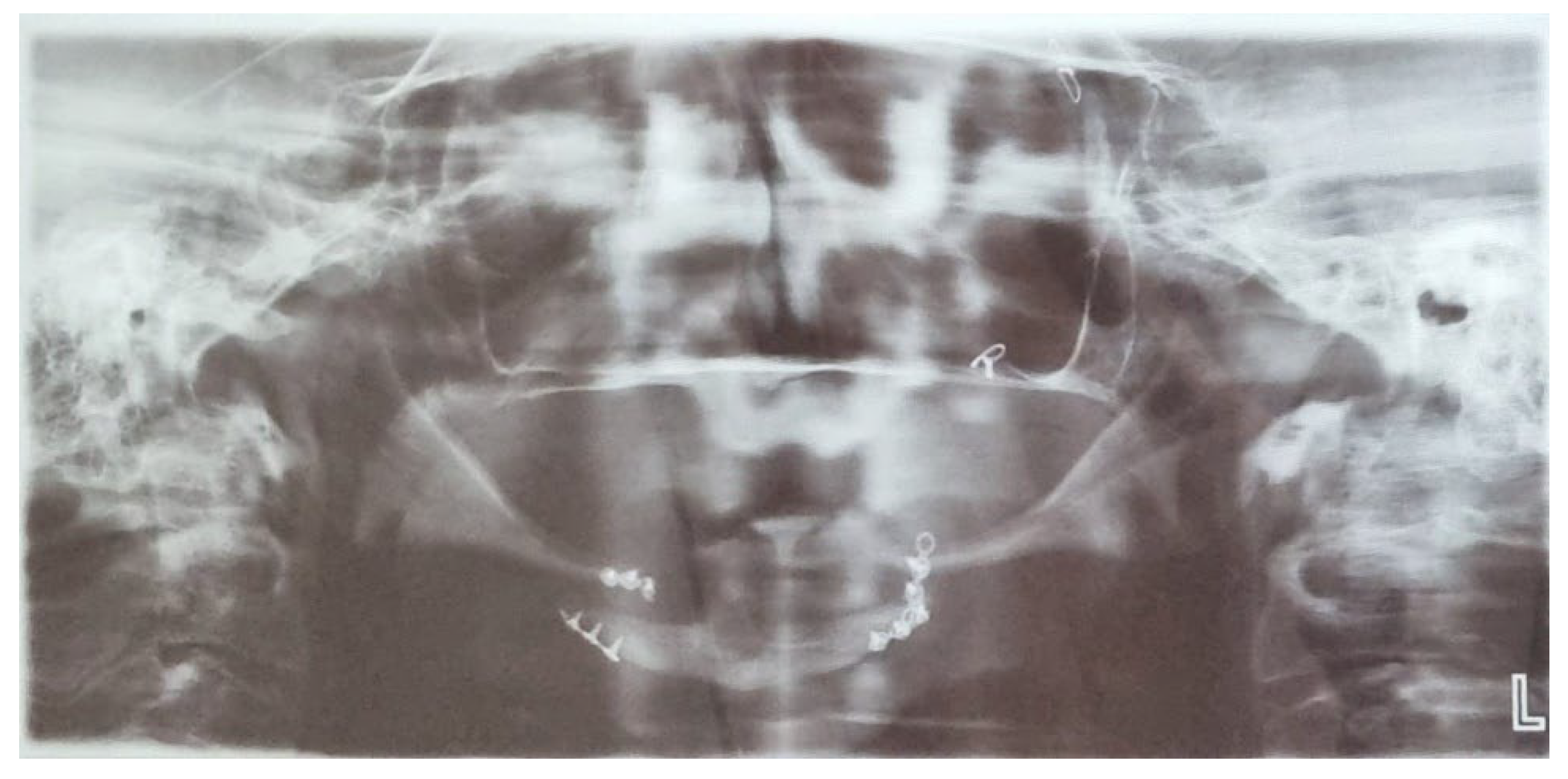 Preprints 155210 g001