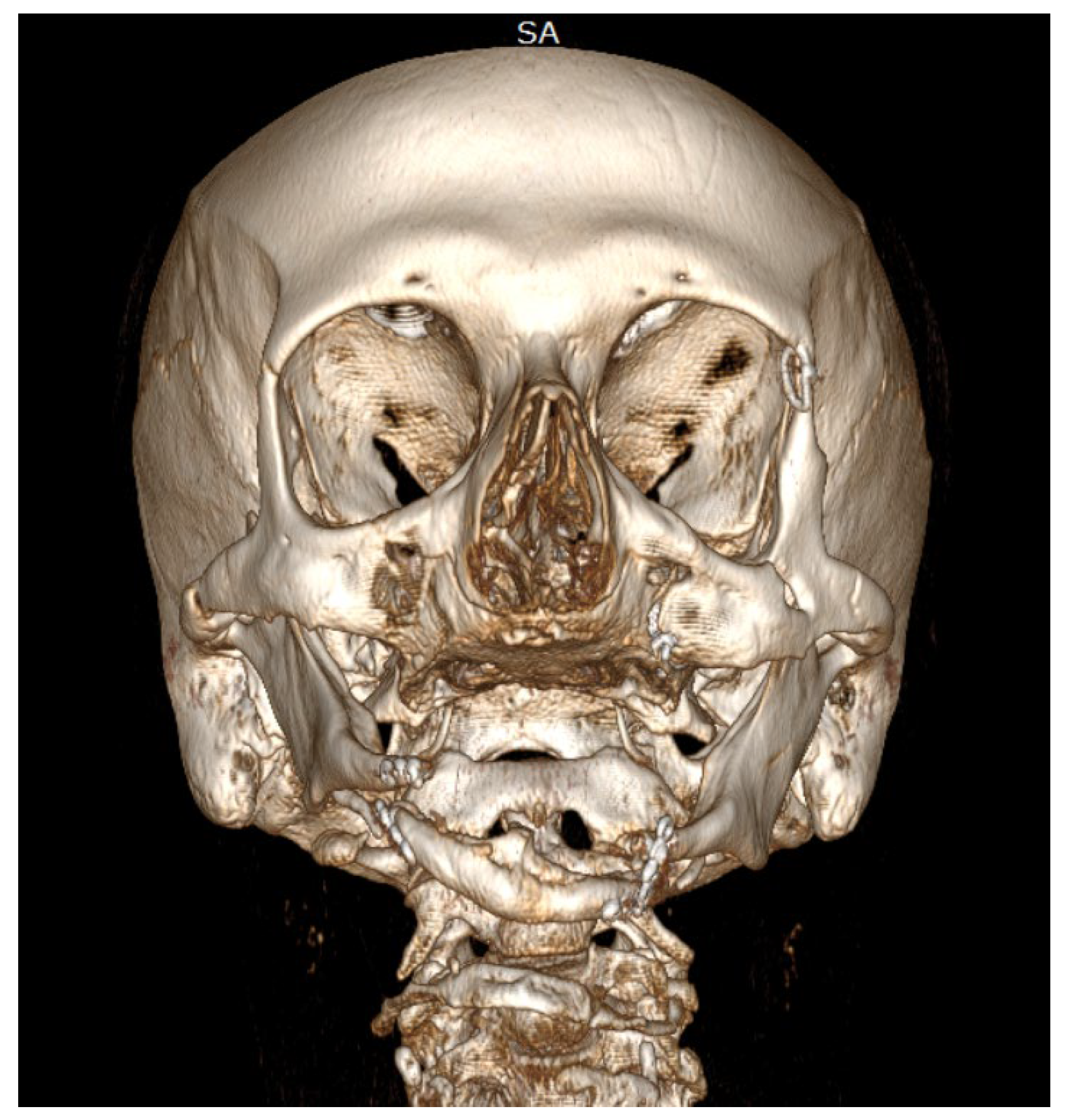 Preprints 155210 g002