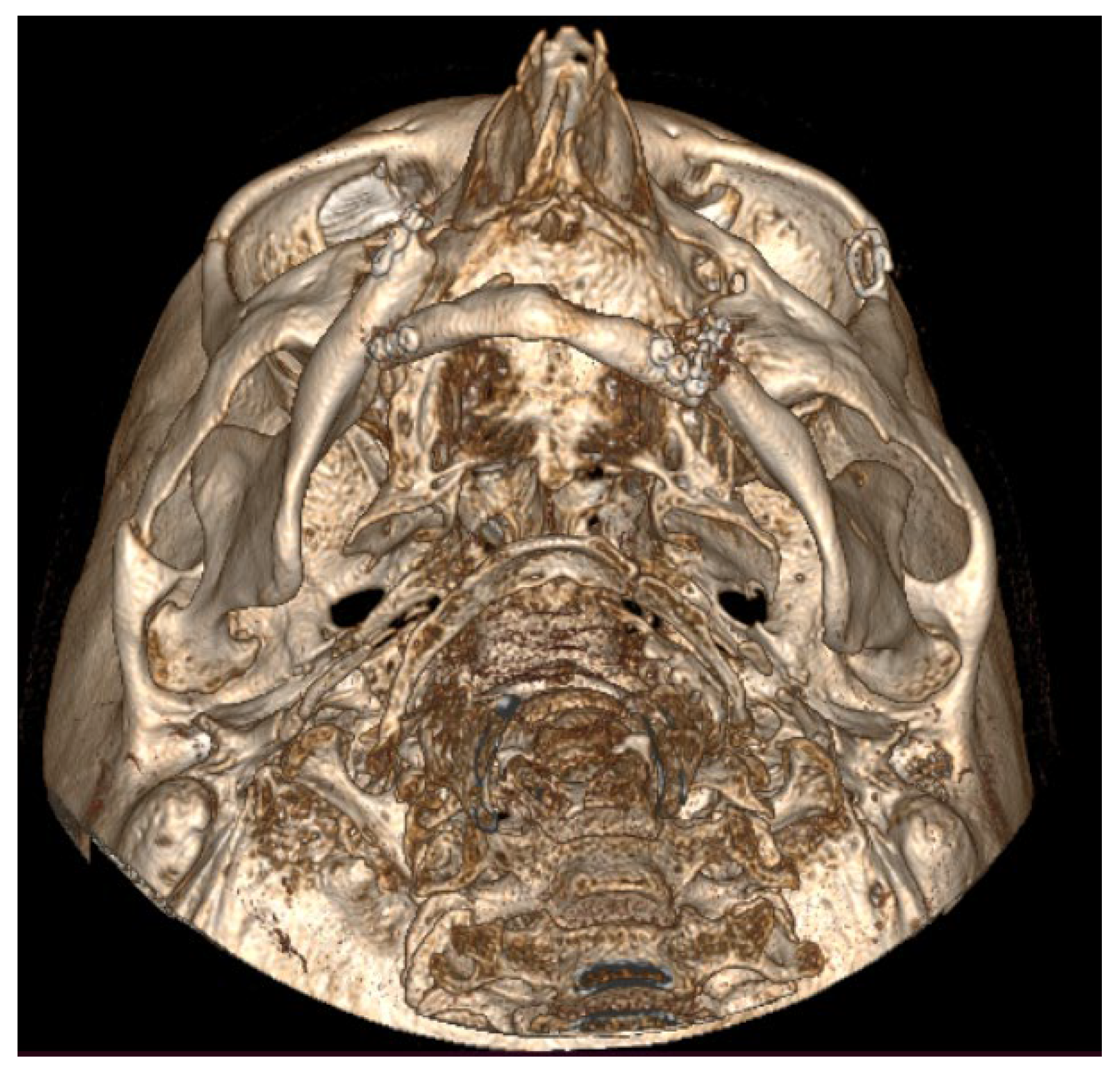 Preprints 155210 g004