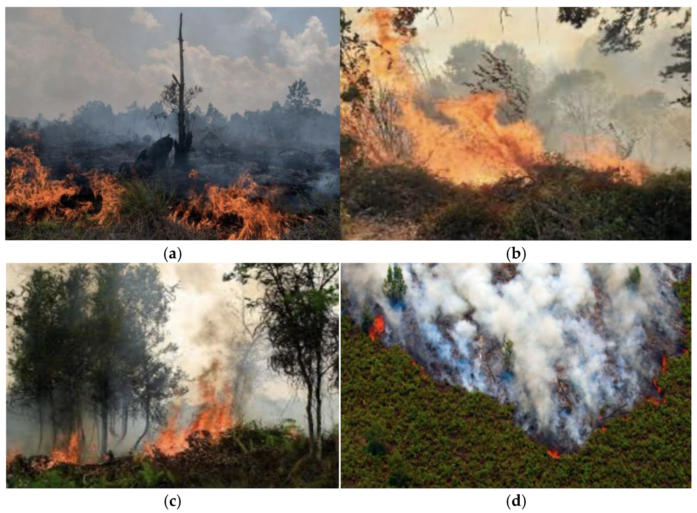 Preprints 182236 g004