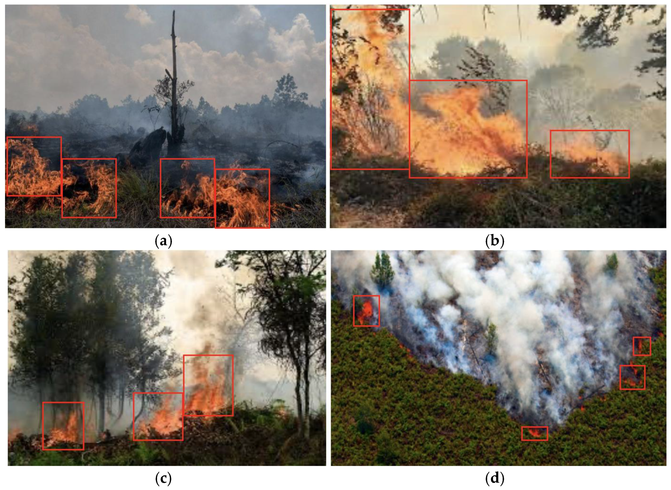 Preprints 182236 g005