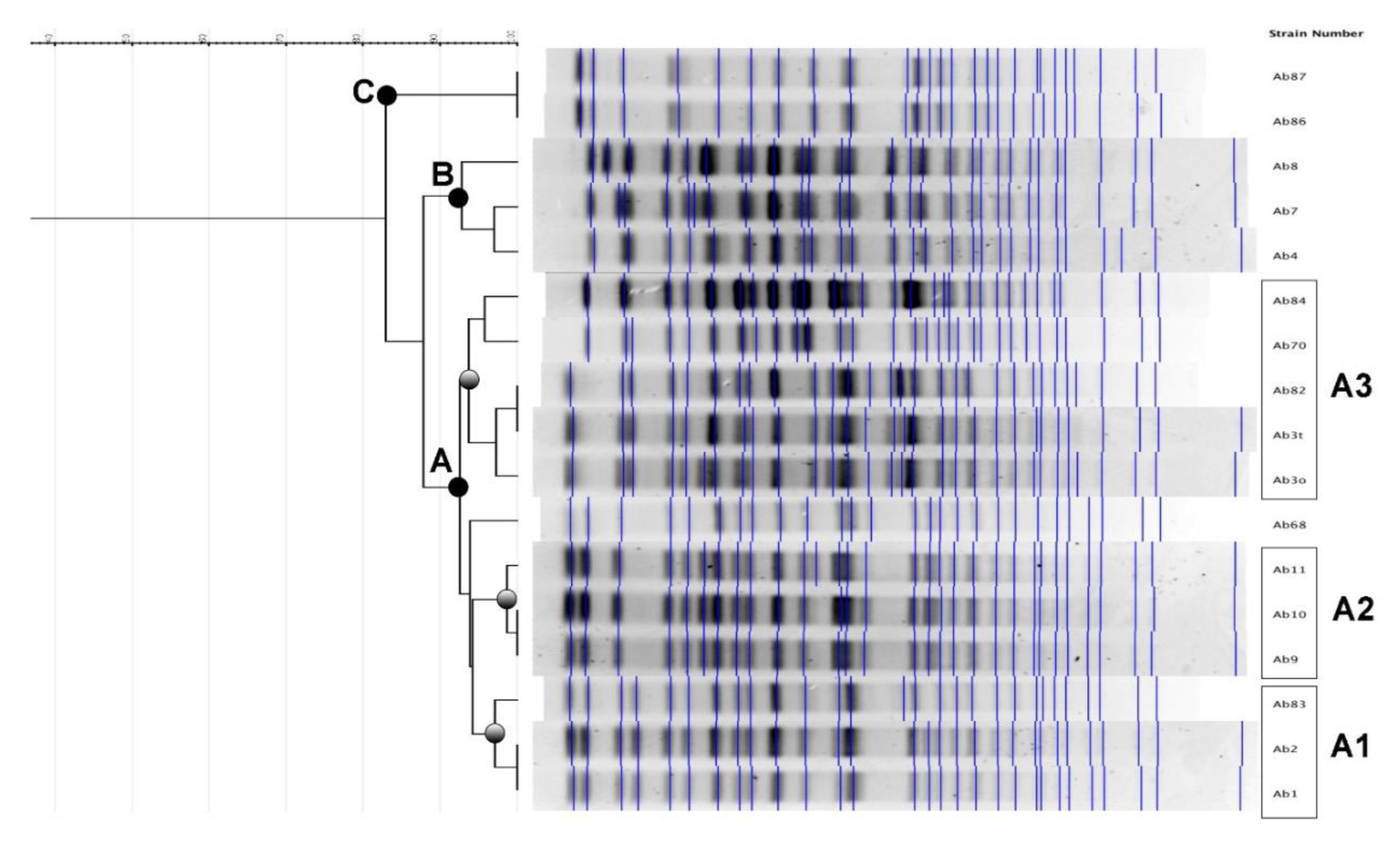 Preprints 229639 g001 Preprints 229639 g001