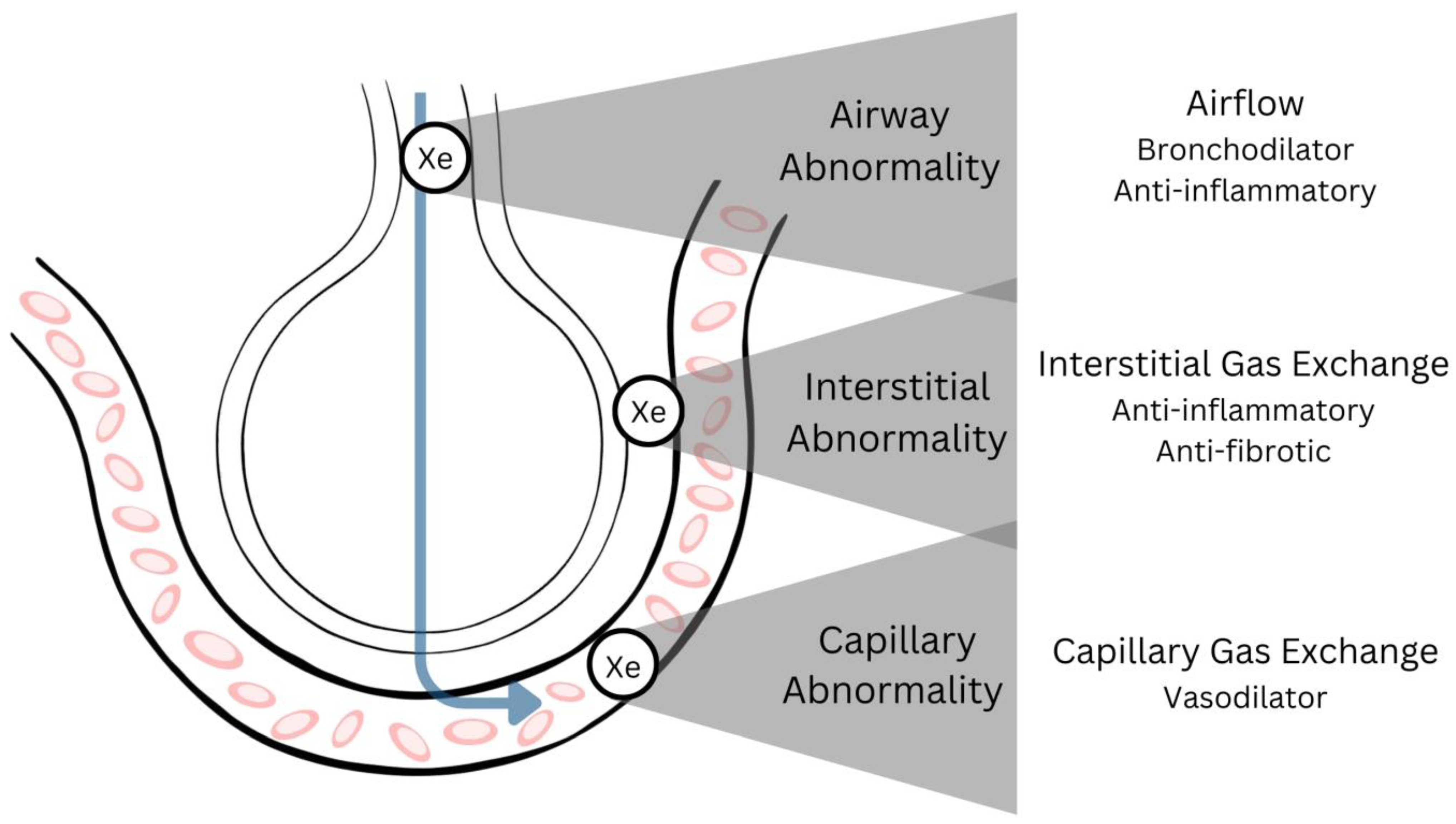 Preprints 142272 g001
