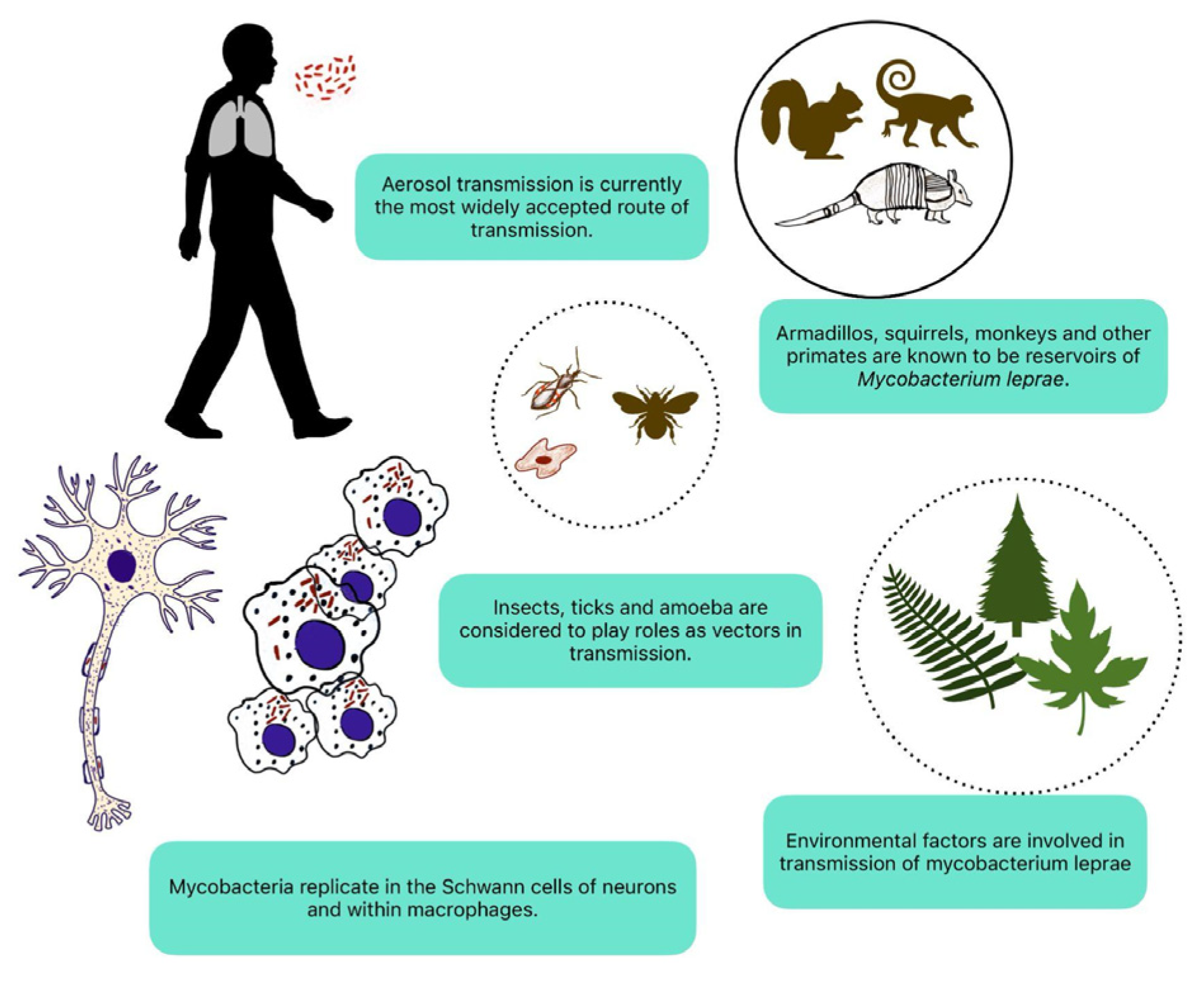 Preprints 142620 g001