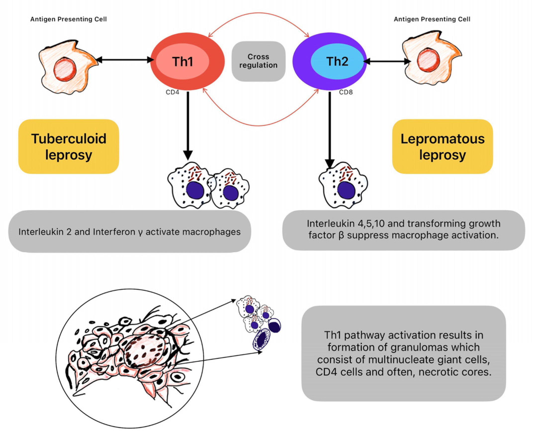 Preprints 142620 g002