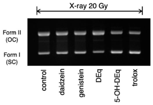 Preprints 231319 g005 Preprints 231319 g005