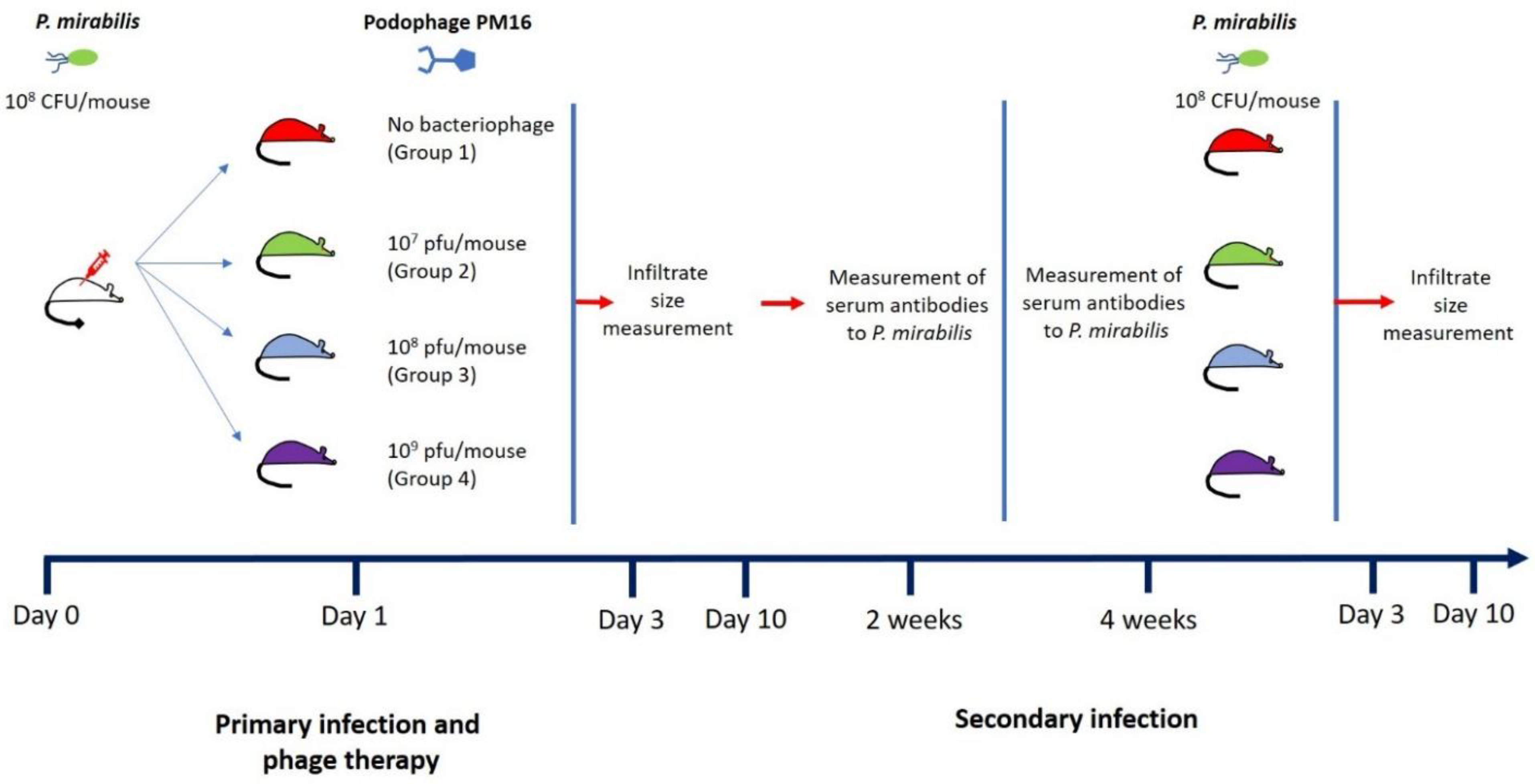 Preprints 189207 g001