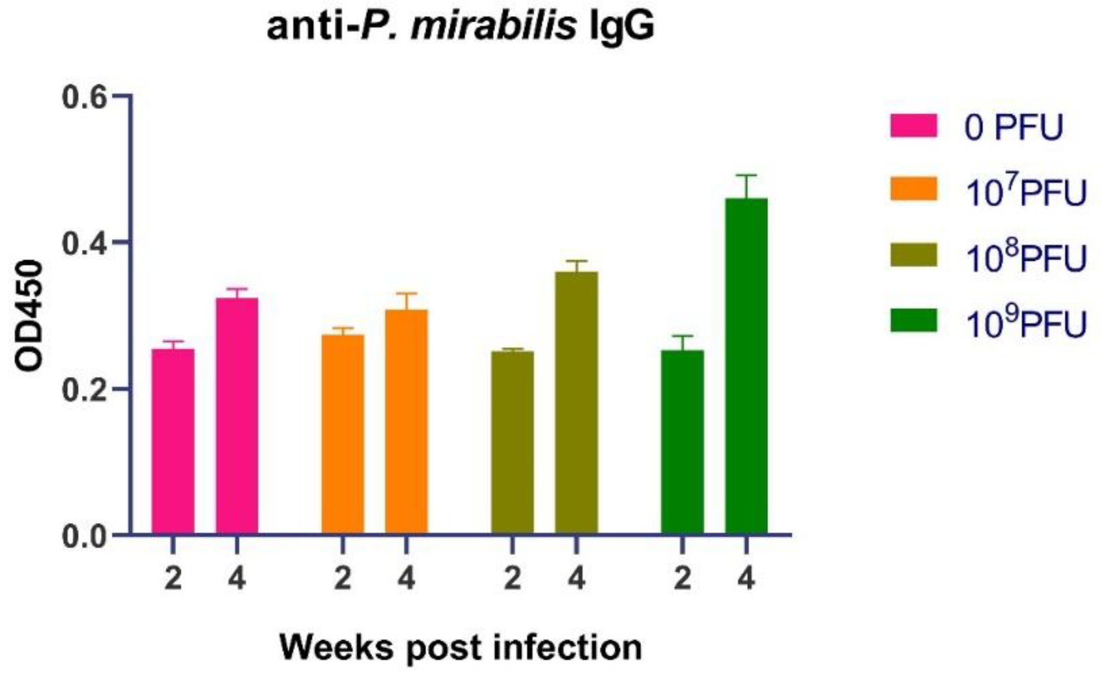 Preprints 189207 g003