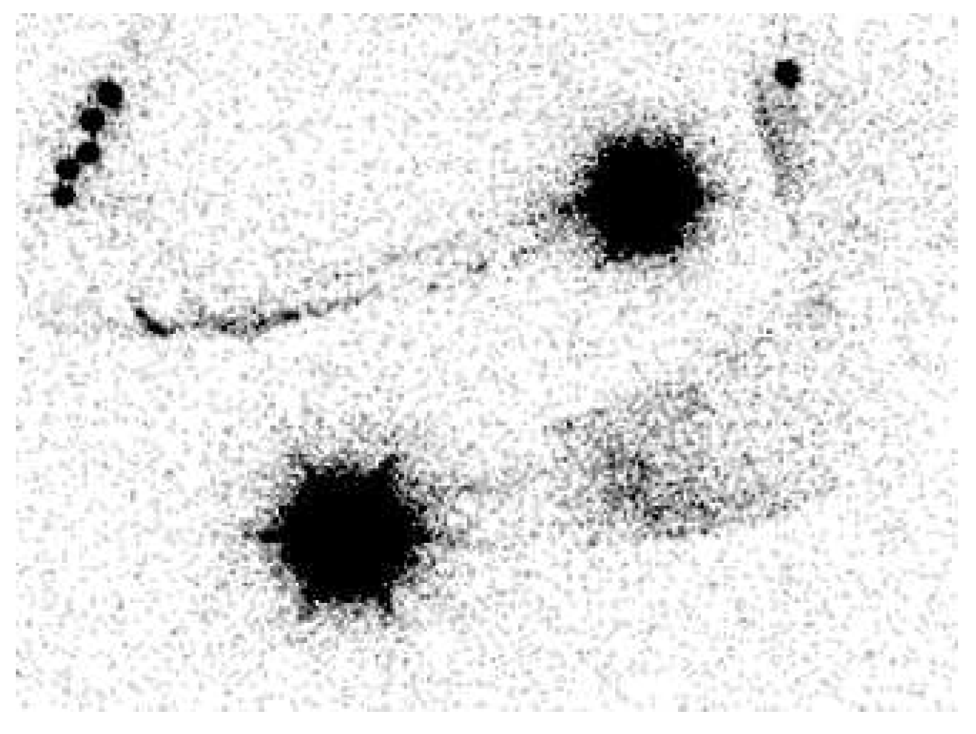 Preprints 77212 g001