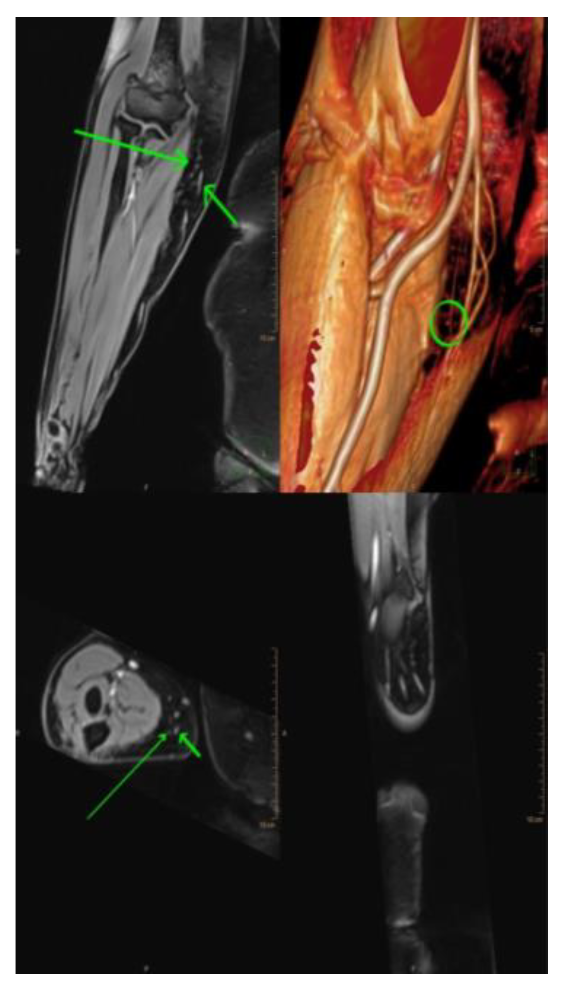 Preprints 77212 g003