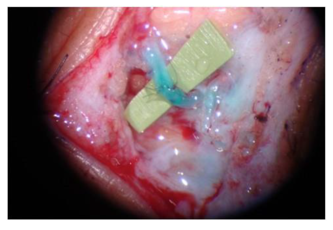 Preprints 77212 g004