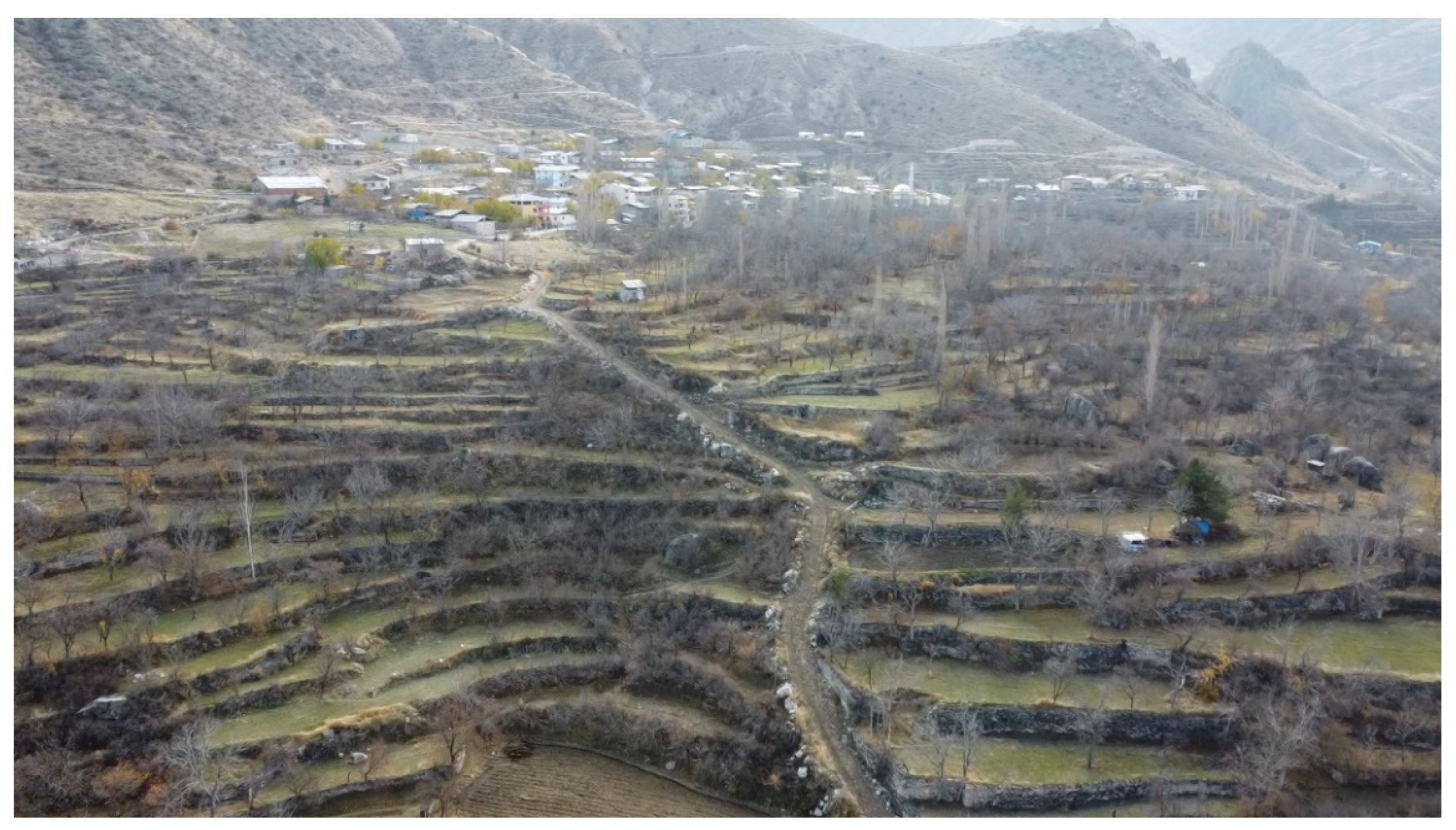 Preprints 71657 g002