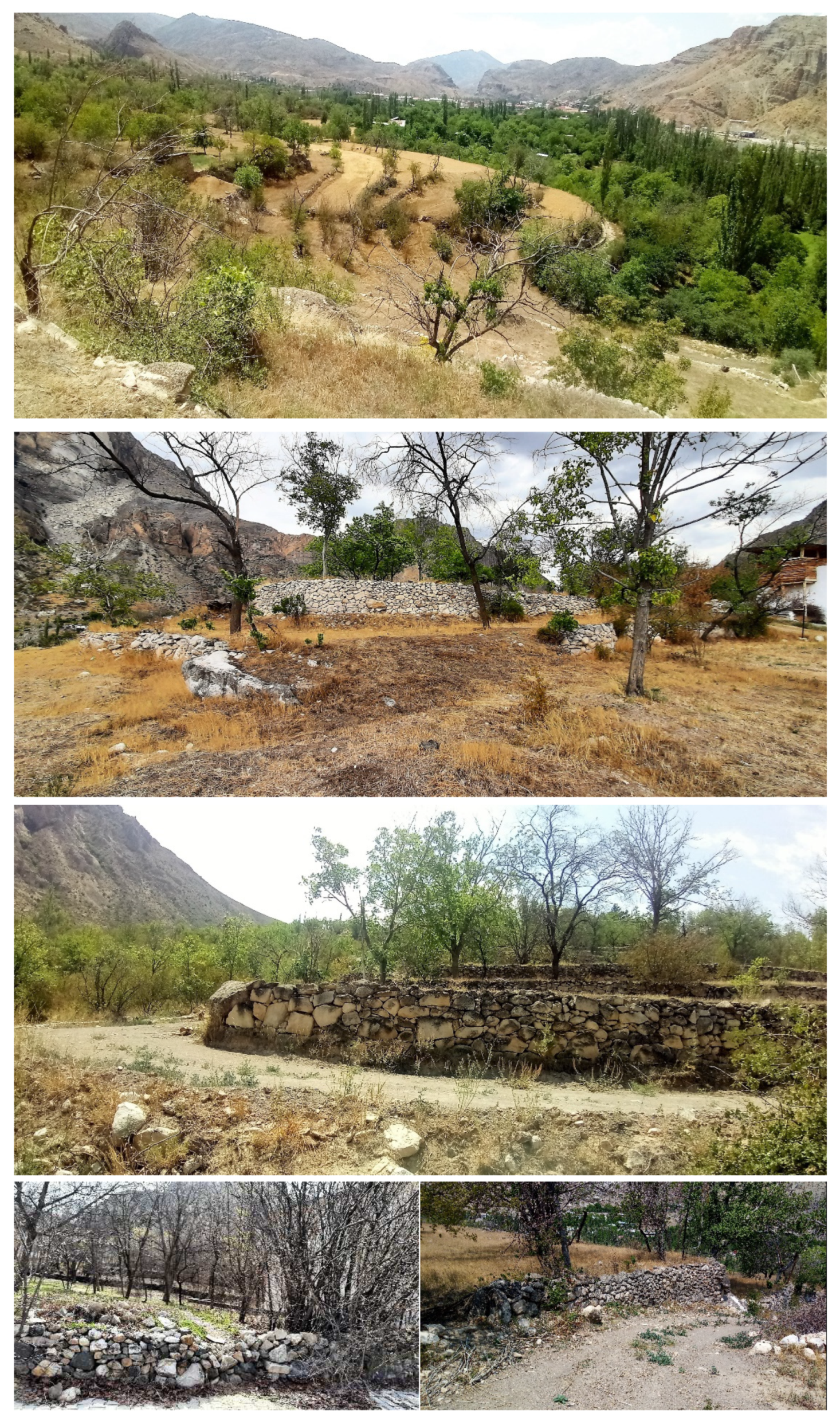 Preprints 71657 g008