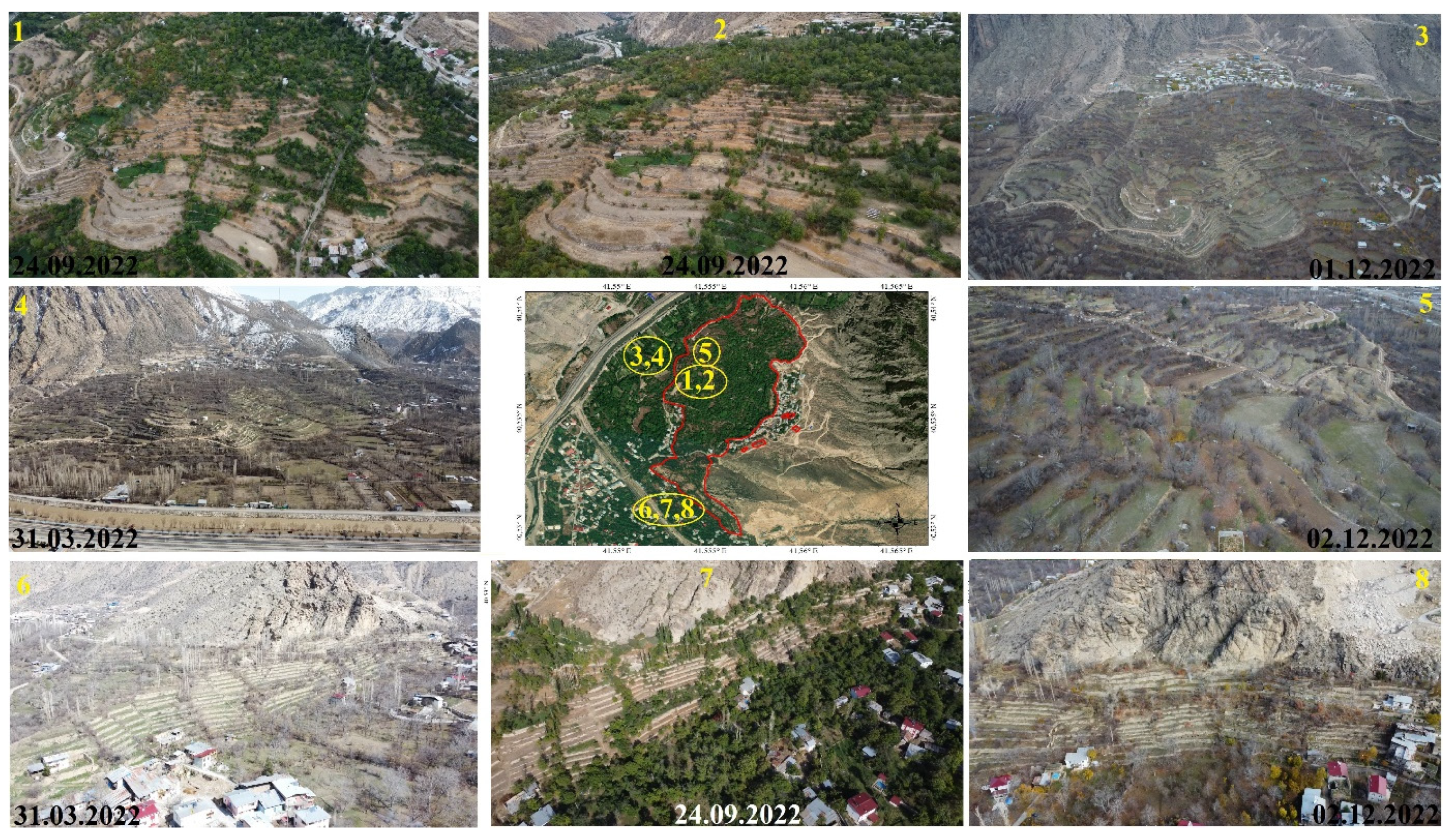 Preprints 71657 g009