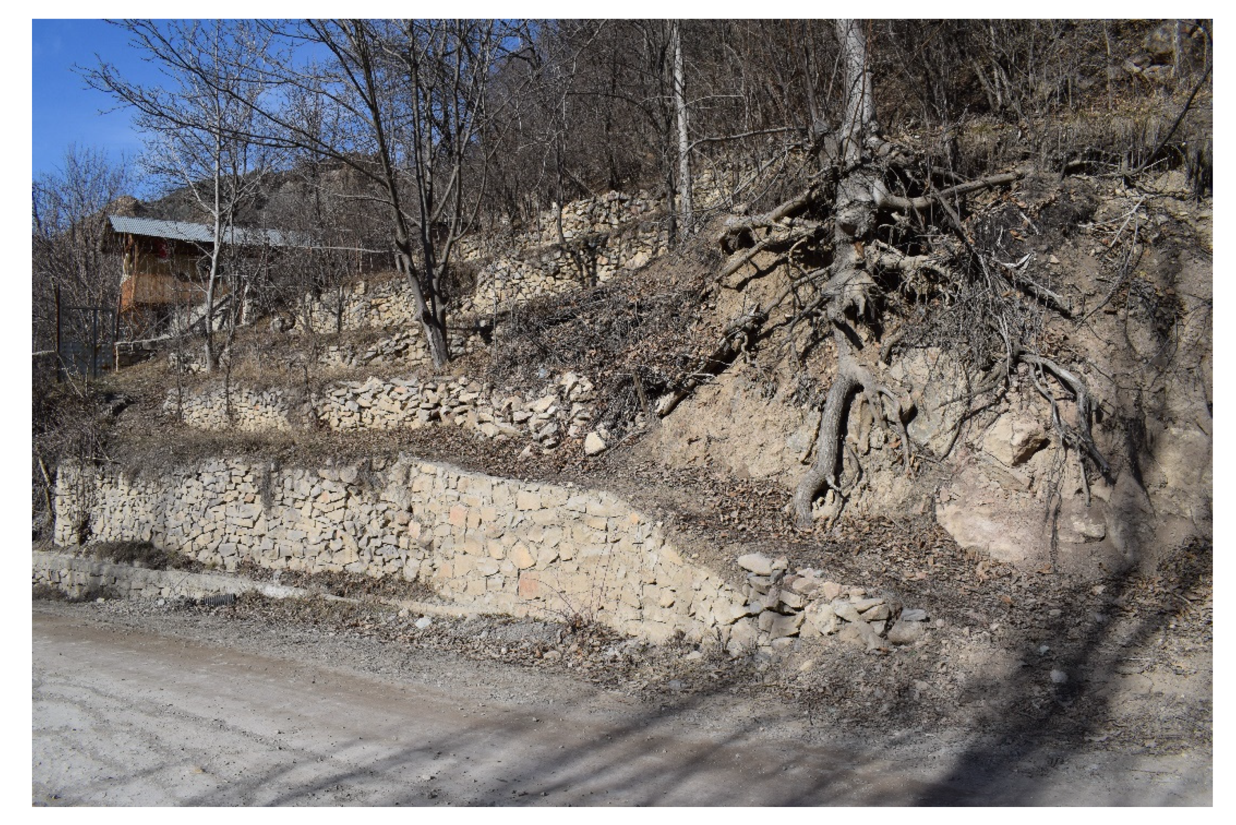 Preprints 71657 g015