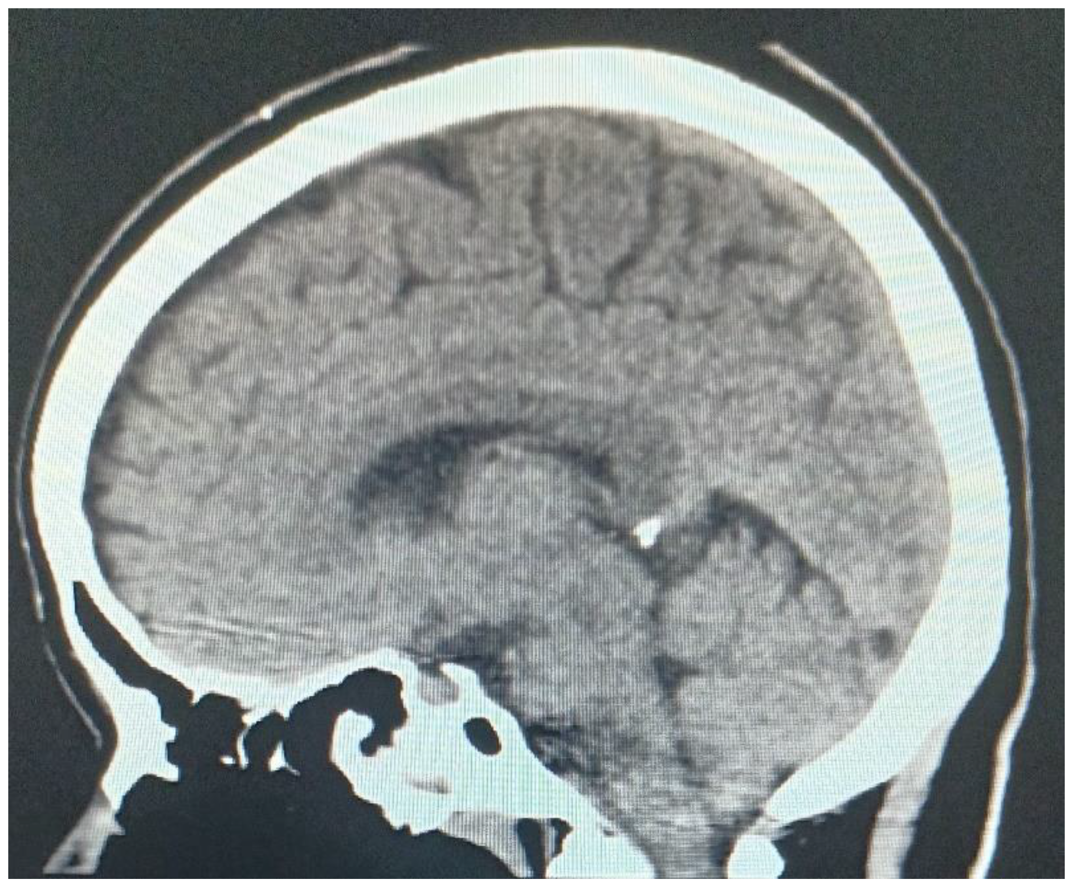 Preprints 142097 g001