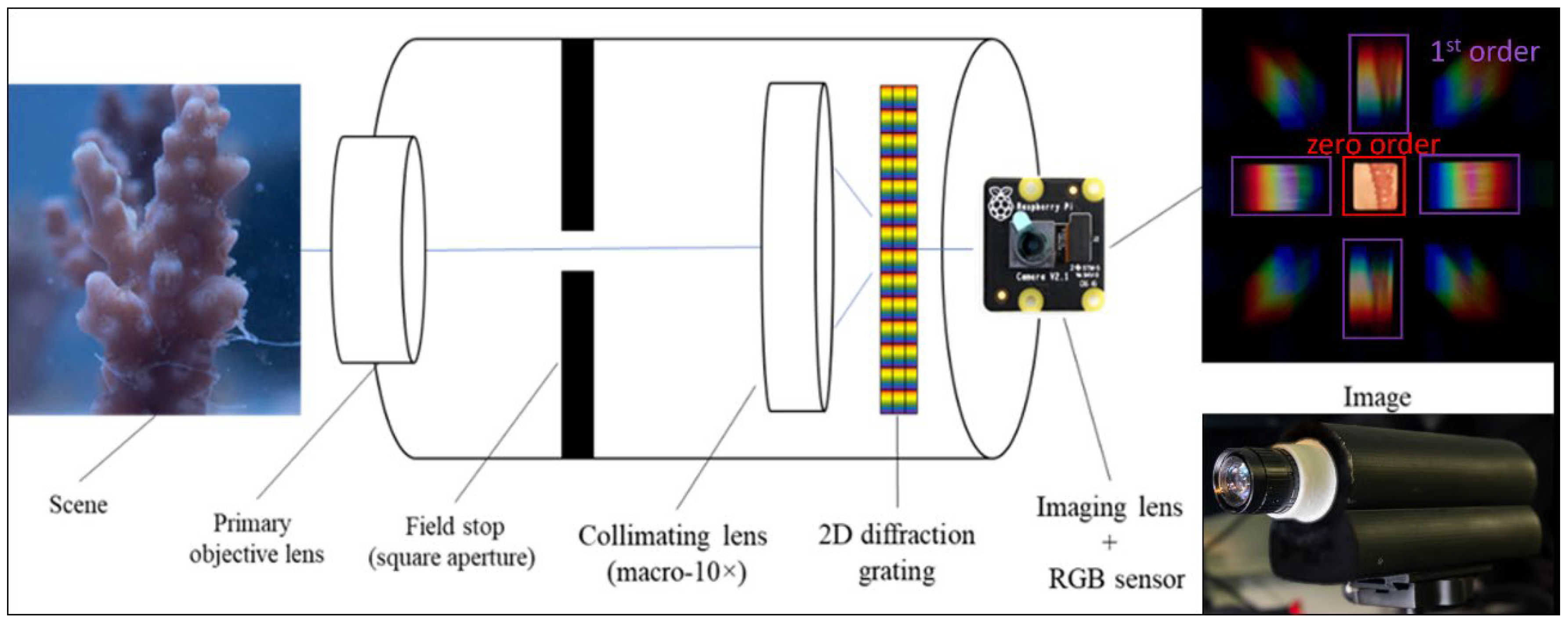 Preprints 211543 g002