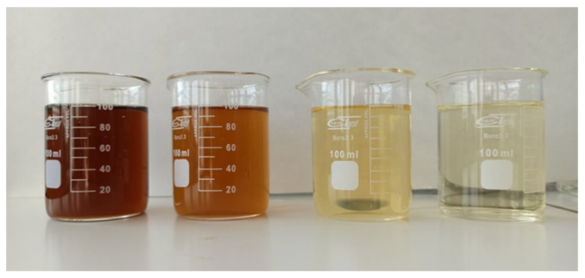 Preprints 146729 g008