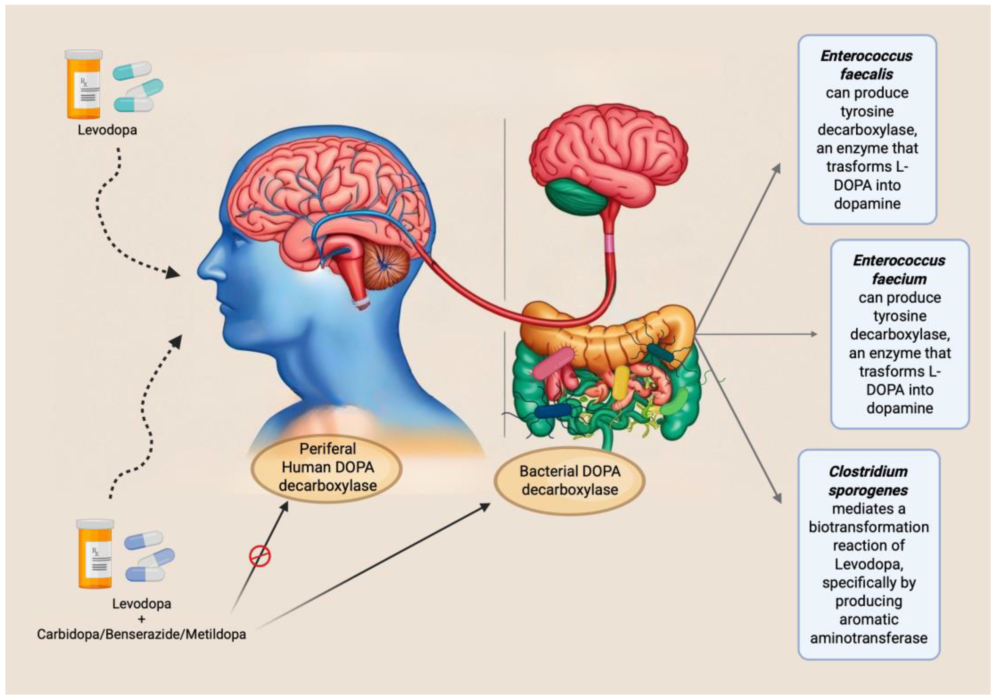 Preprints 162942 g002
