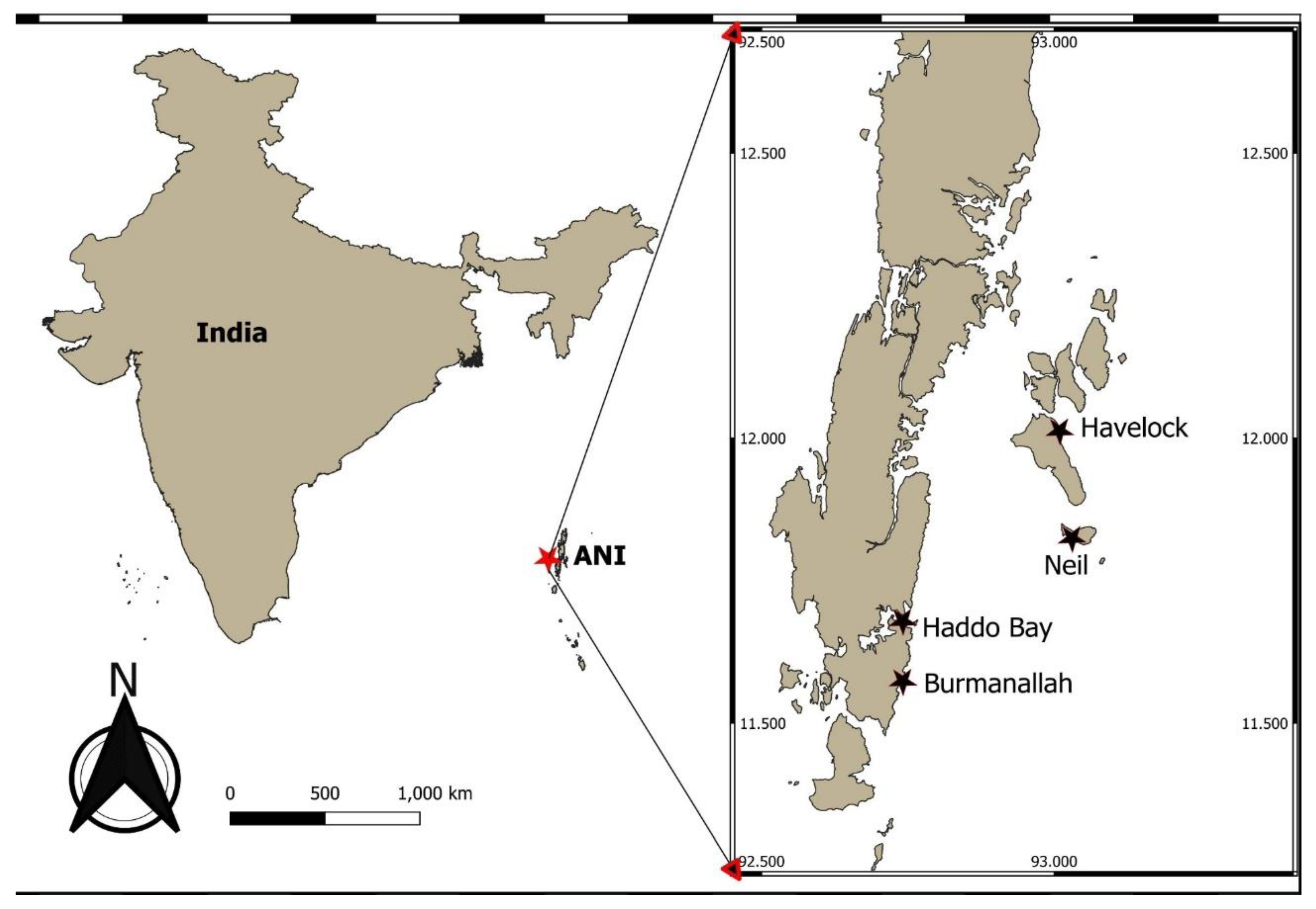 Preprints 98422 g001
