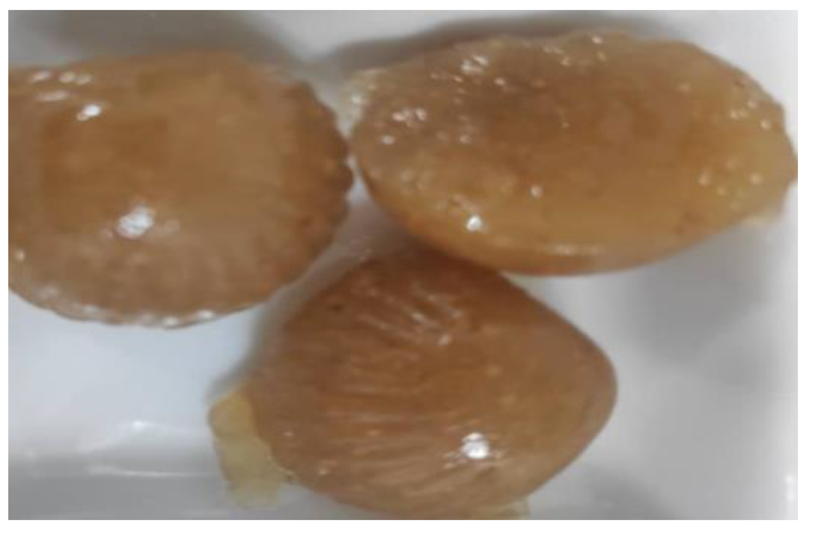 Preprints 149175 g006