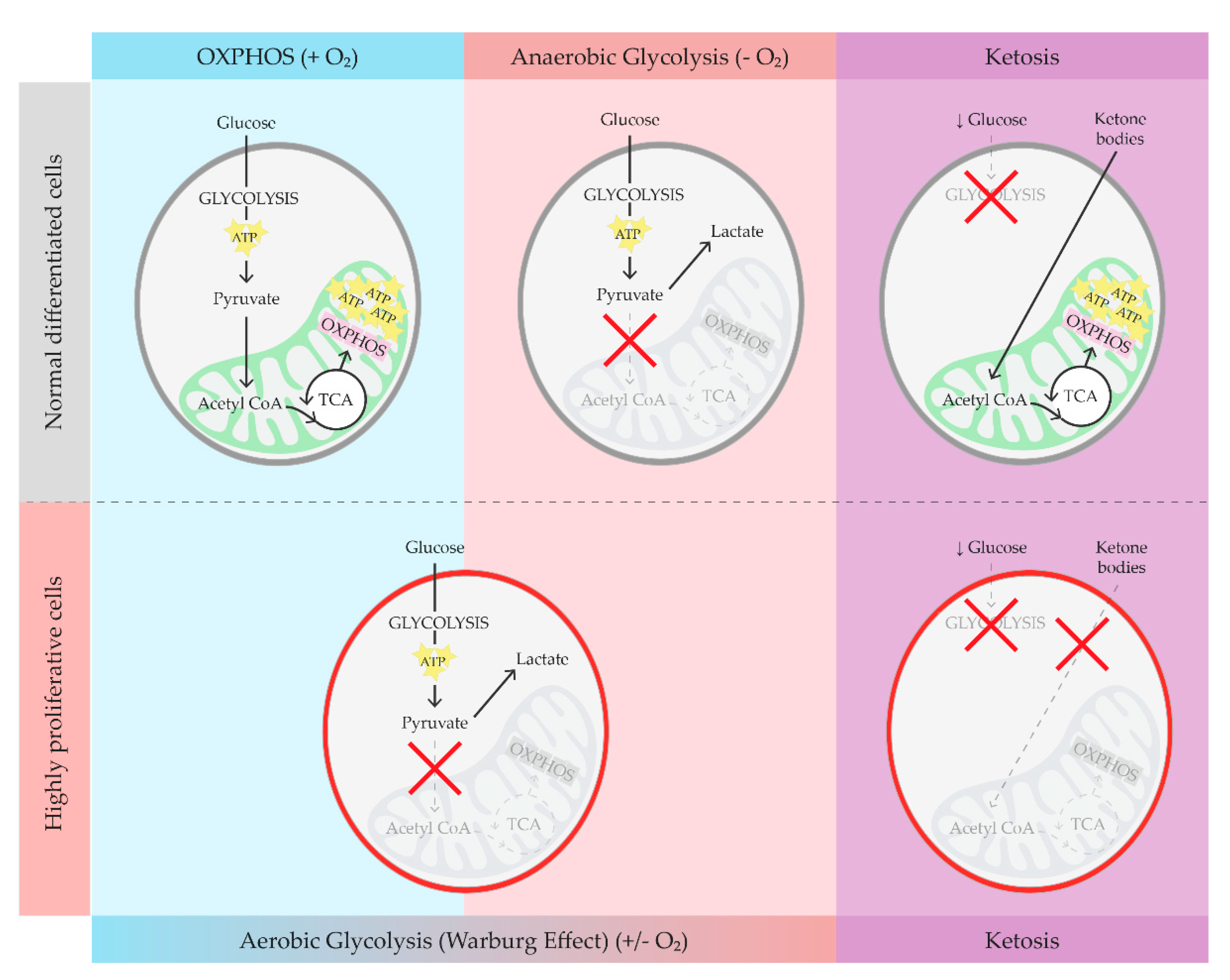 Preprints 111807 g001