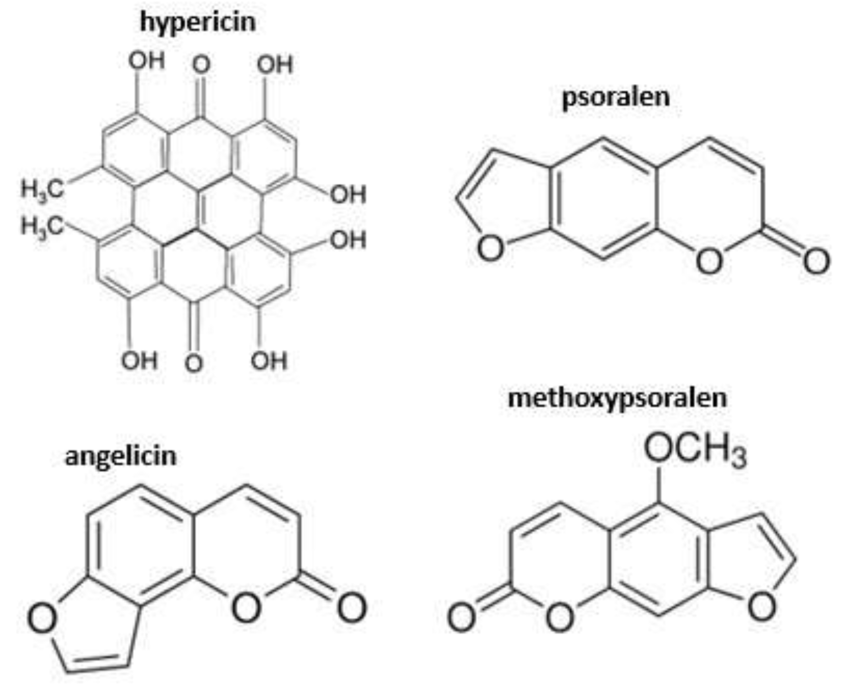 Preprints 198355 g001