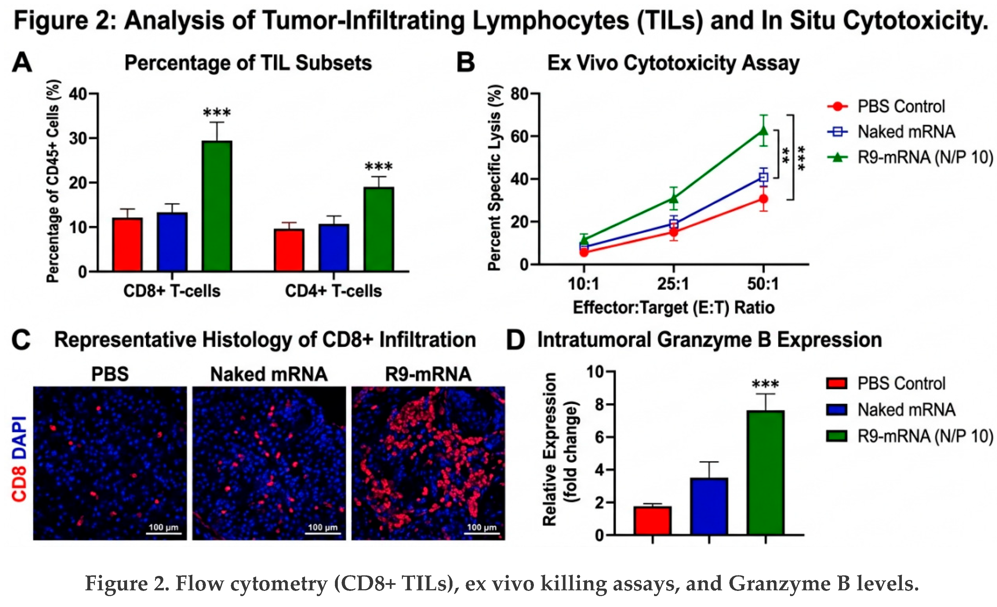 Preprints 210364 g002